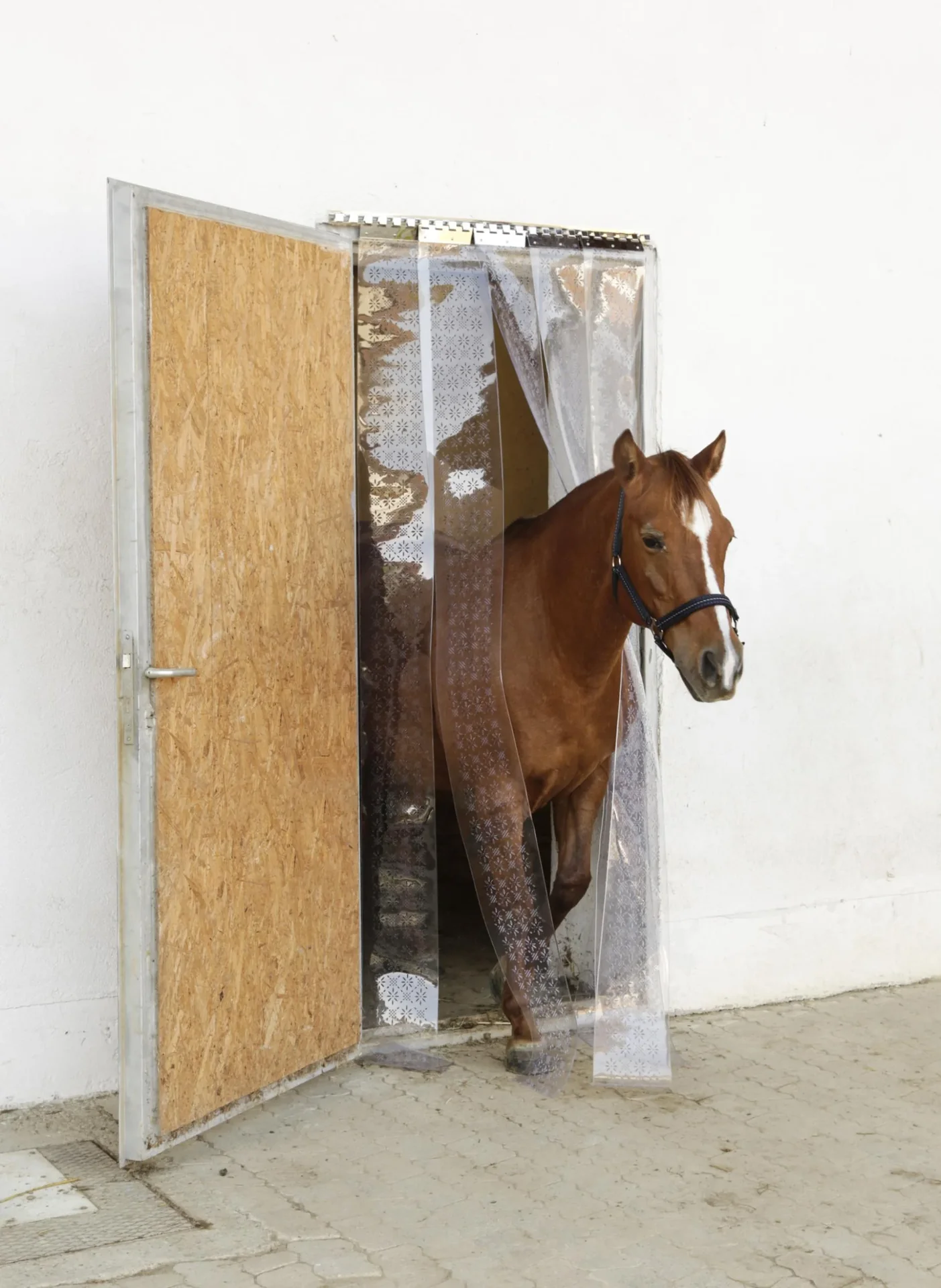 Fliegen-Streifenvorhang-Set mit PVC-Streifen, 225 x 30 cm - 0