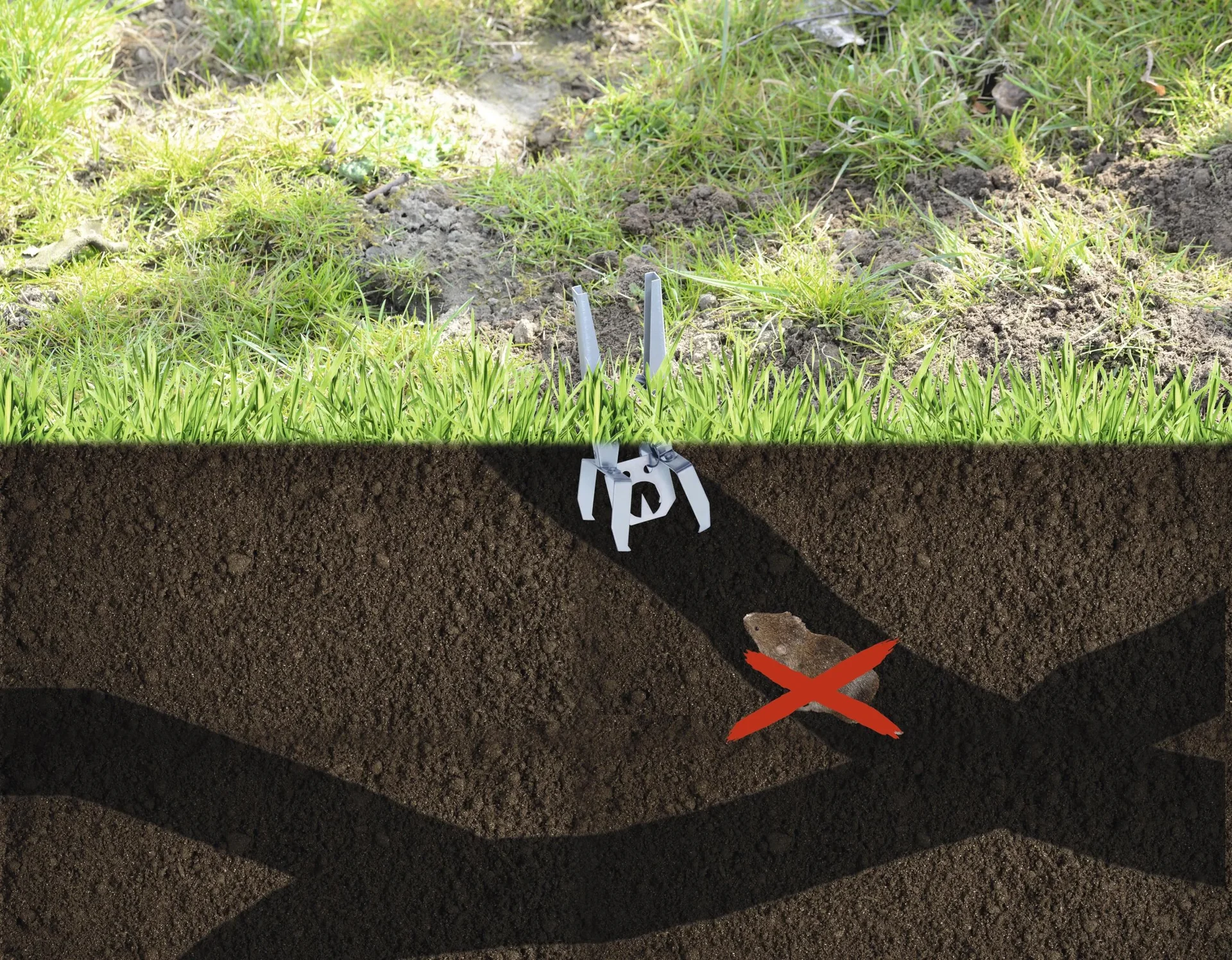 Wühlmaus-Zangenfalle - 0