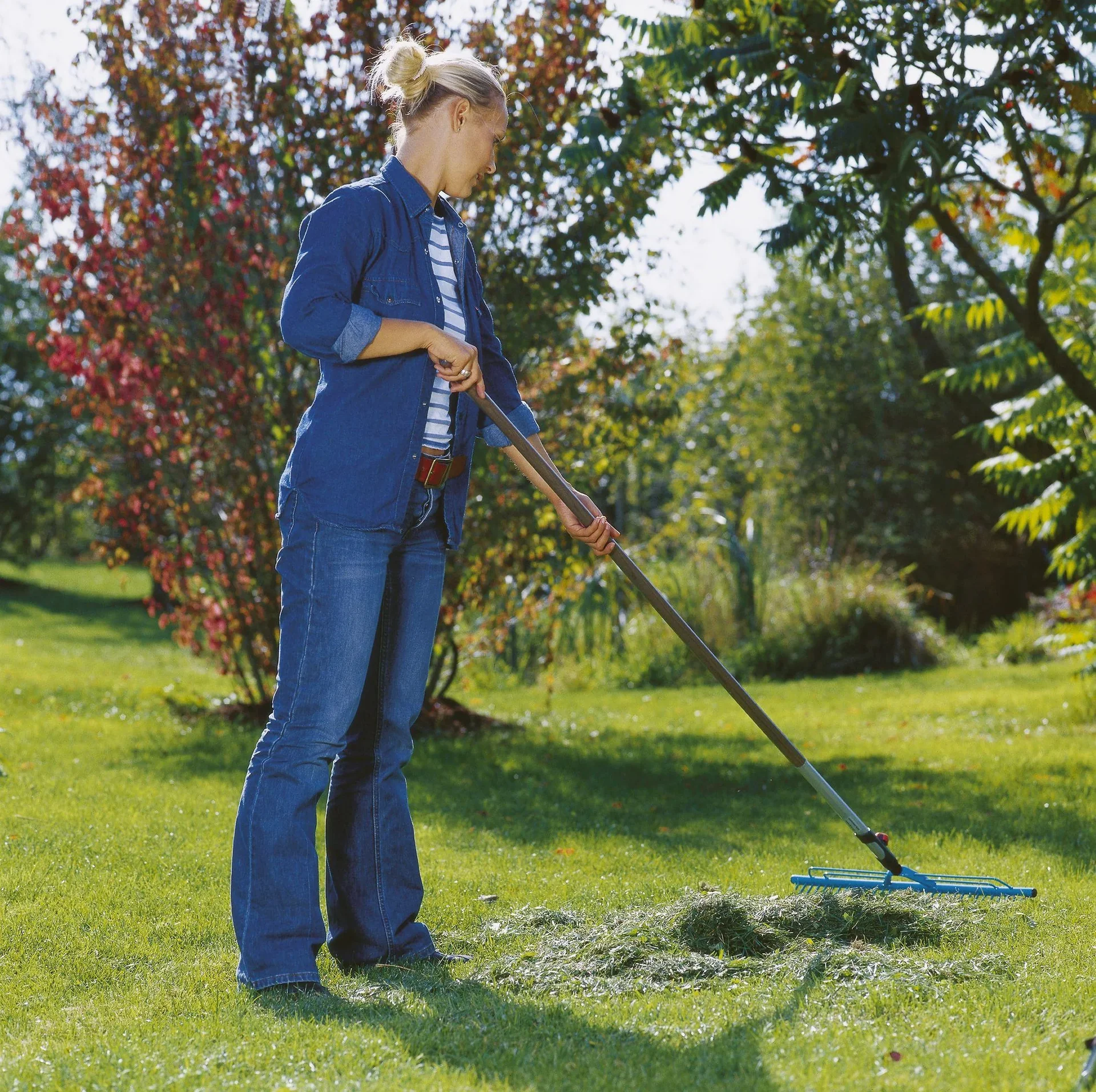 Combisystem-Rasenrechen, 60 cm breit - 2