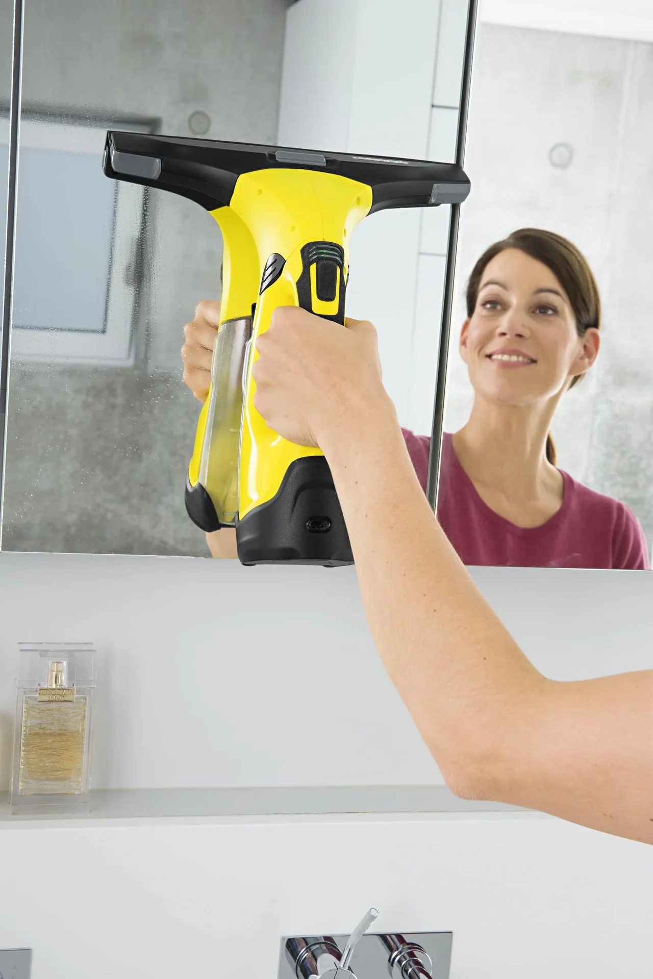 Fenstersauger WV 5 Premium - 2
