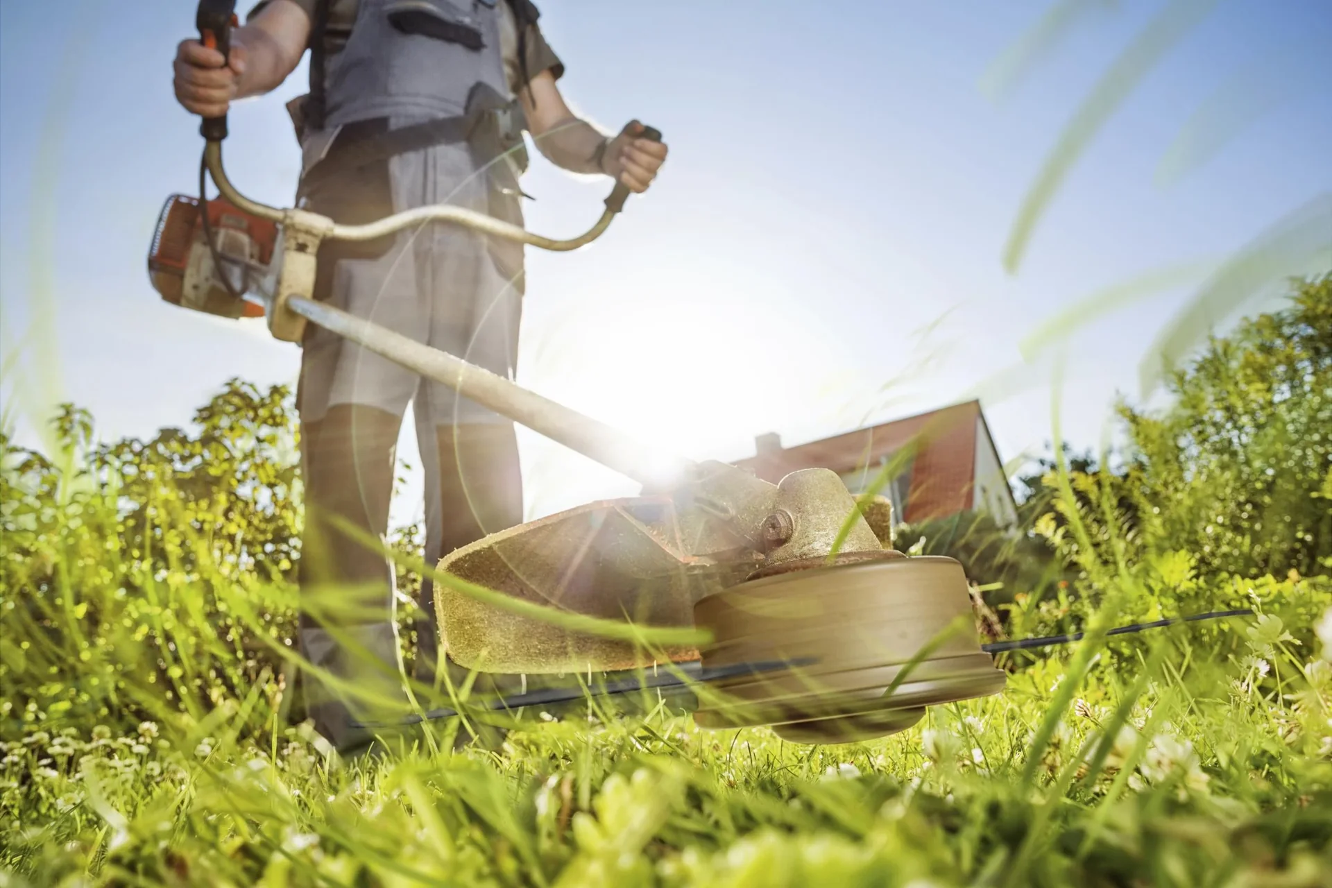 PREMIUM Mähfäden 3,0 mm x 80 m Stern - 3