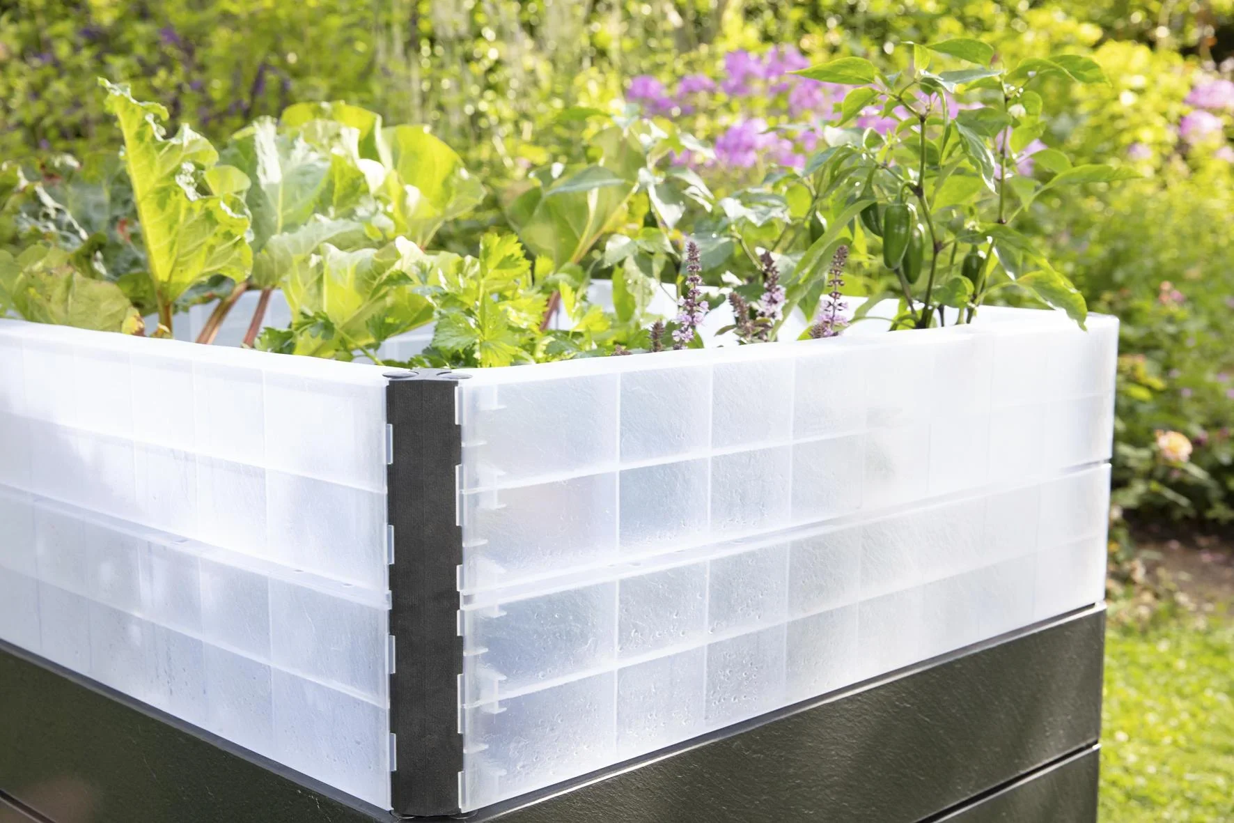 Wachstumsmodul für "Ergo Quadro" Hochbeet, Größe S - 5