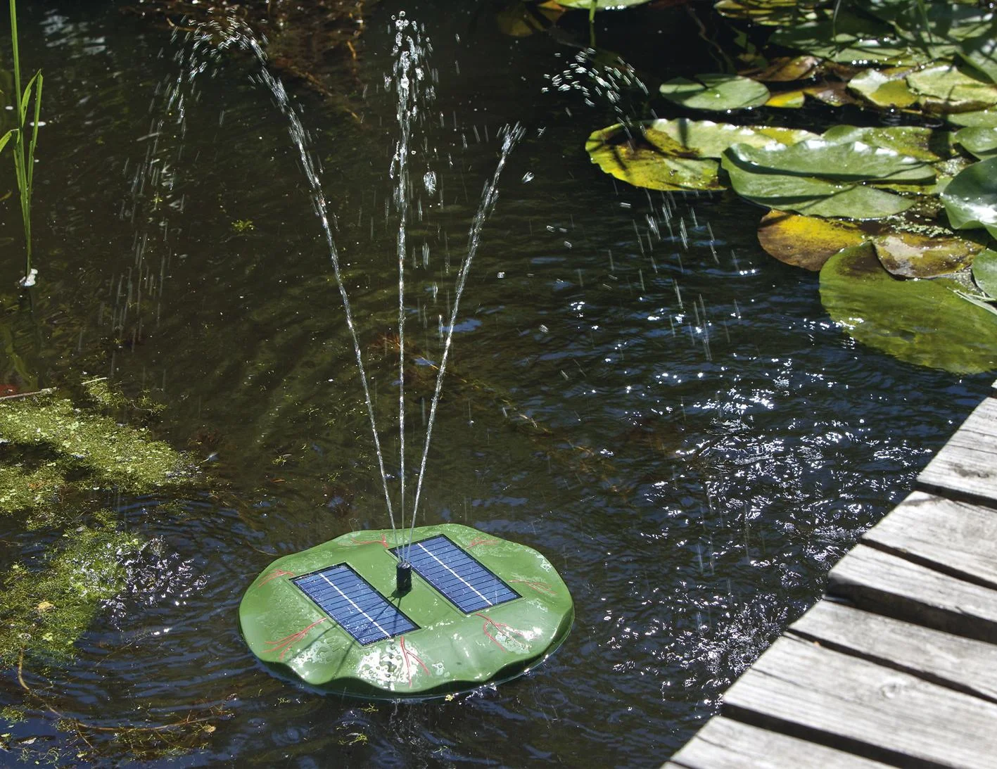 Solar Teichpumpe "Seerose" - 0