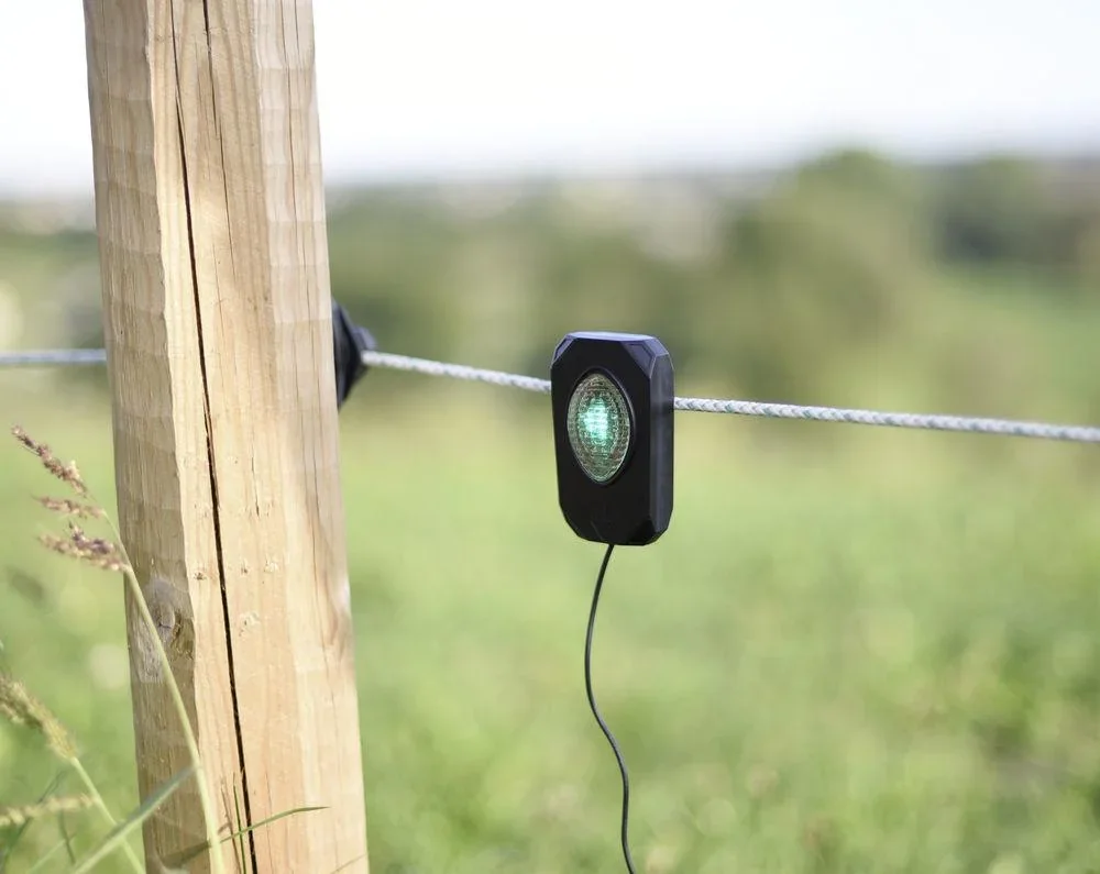 Pulse Flash, schwarz, mit grüner LED - 4