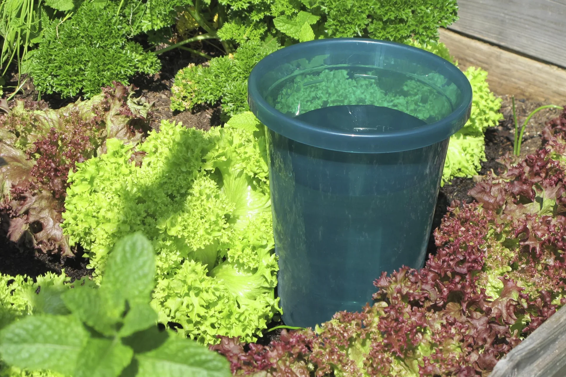 Bewässerungssystem - Hydro Cup im 4er Set - 1