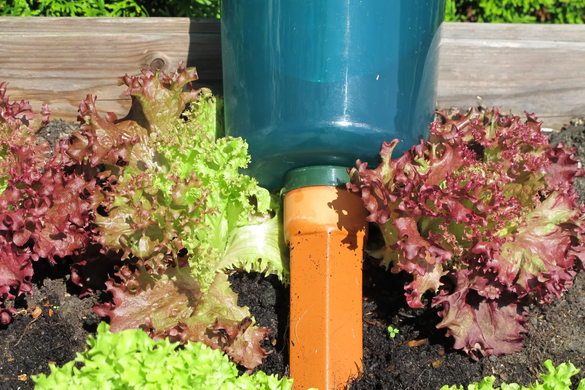 Bewässerungssystem - Hydro Cup im 4er Set - 4