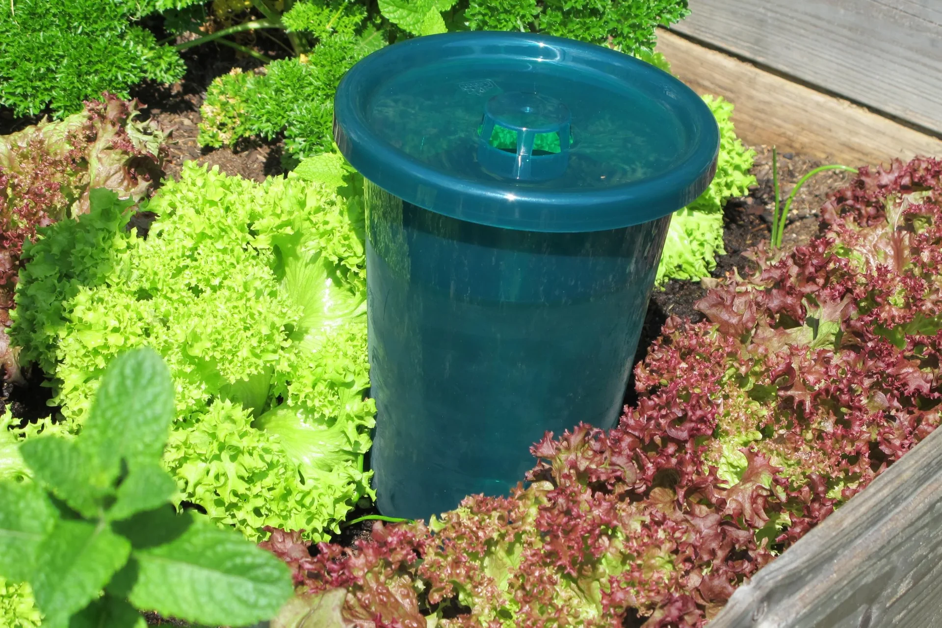 Bewässerungssystem - Hydro Cup im 4er Set - 6