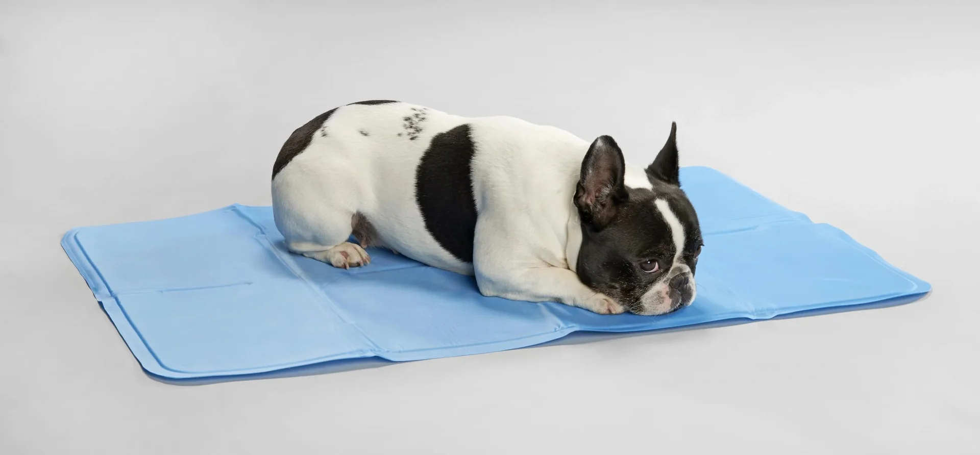 Kühlmatte "PET" 50 x 40 cm - 2