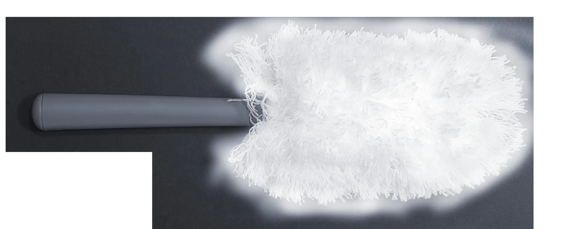 Teleskop-Staubwedel, 6er-Set - 6