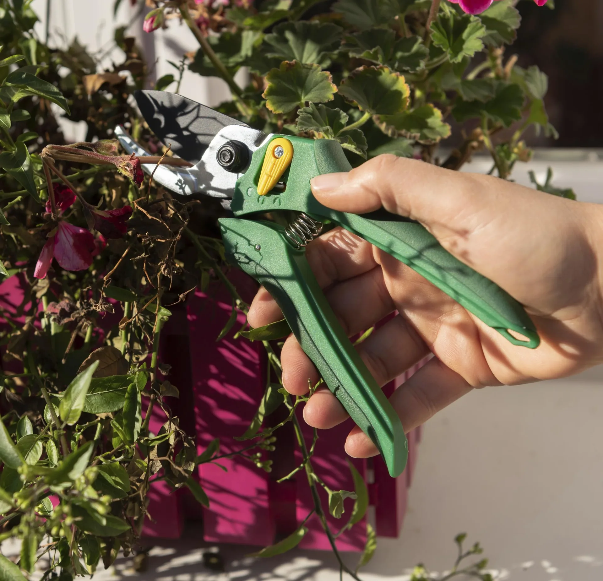 Einhand-Gartenschere vorbeischneidend - 1