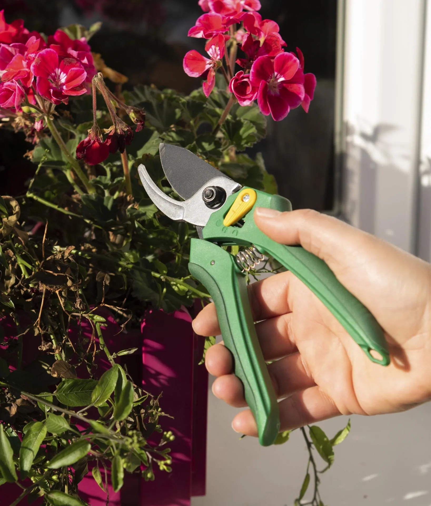 Einhand-Gartenschere vorbeischneidend - 3