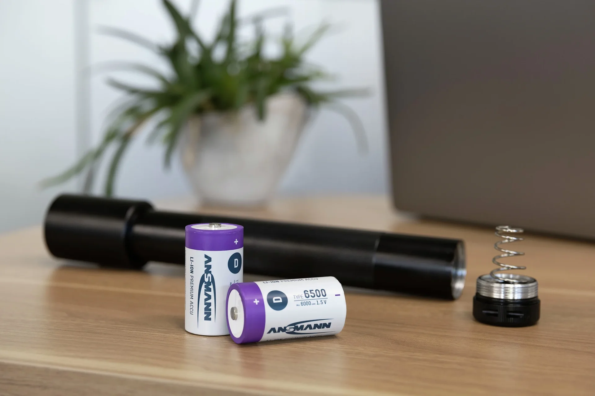 Lithium Ionen Mono (D) Akkus USB-C - 2 Stück, Sicherheitsabschaltung - 2