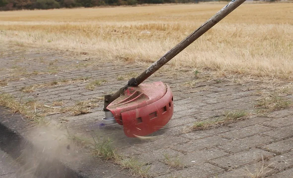 Wildkrautbürste Octo - 1