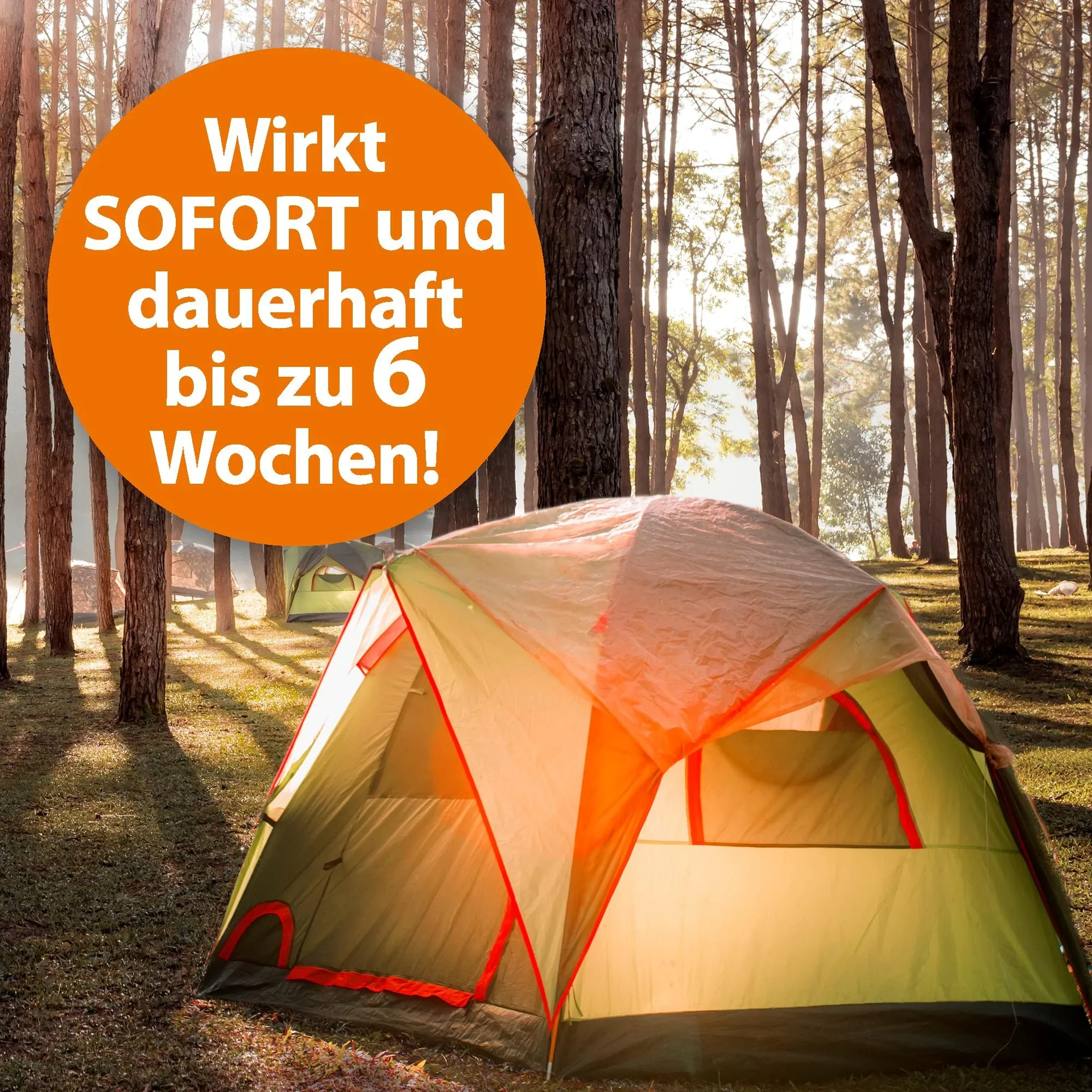 Spinnenspray 400 ml - 1