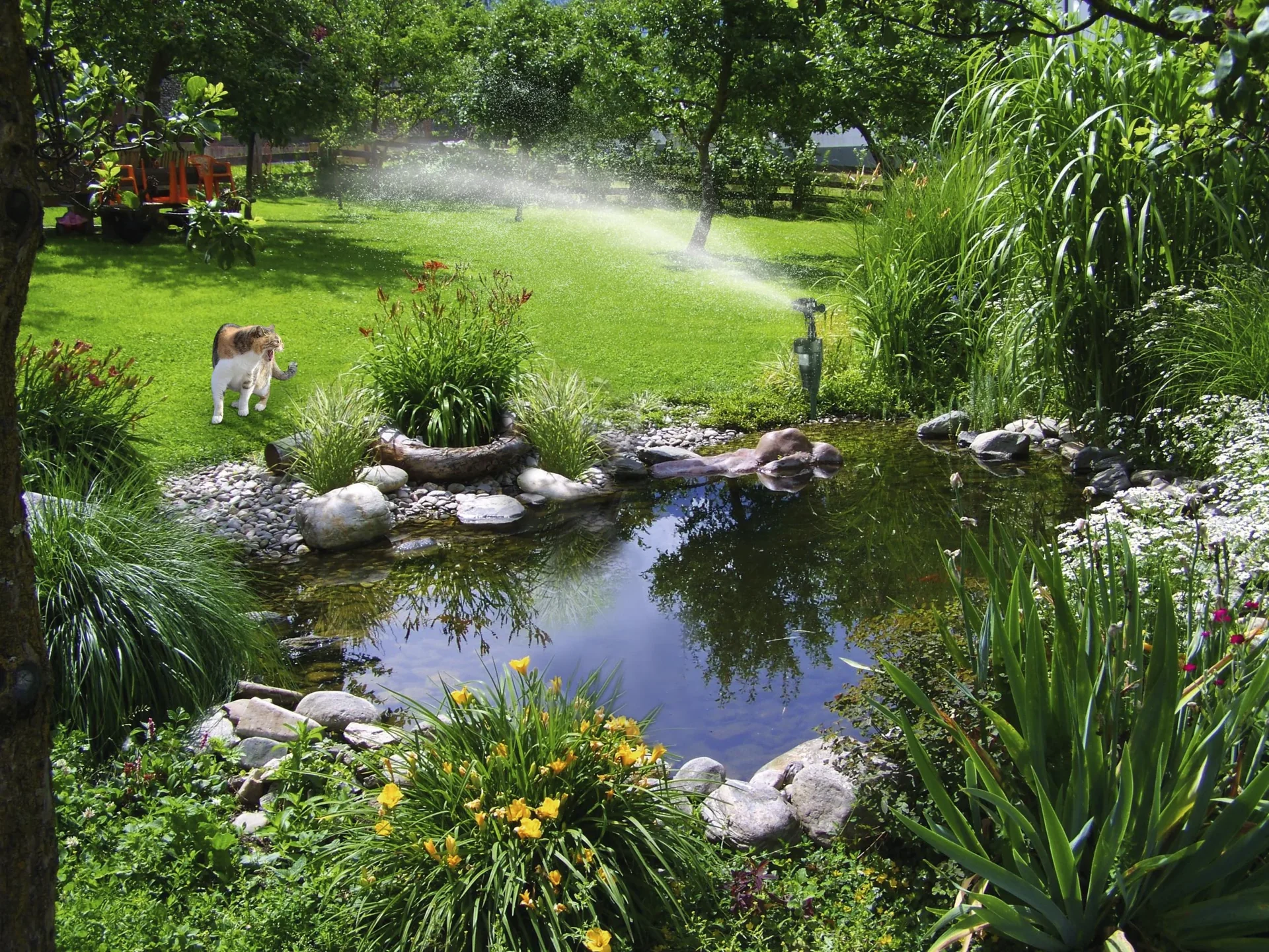 Wasser-Tiervertreiber - 1