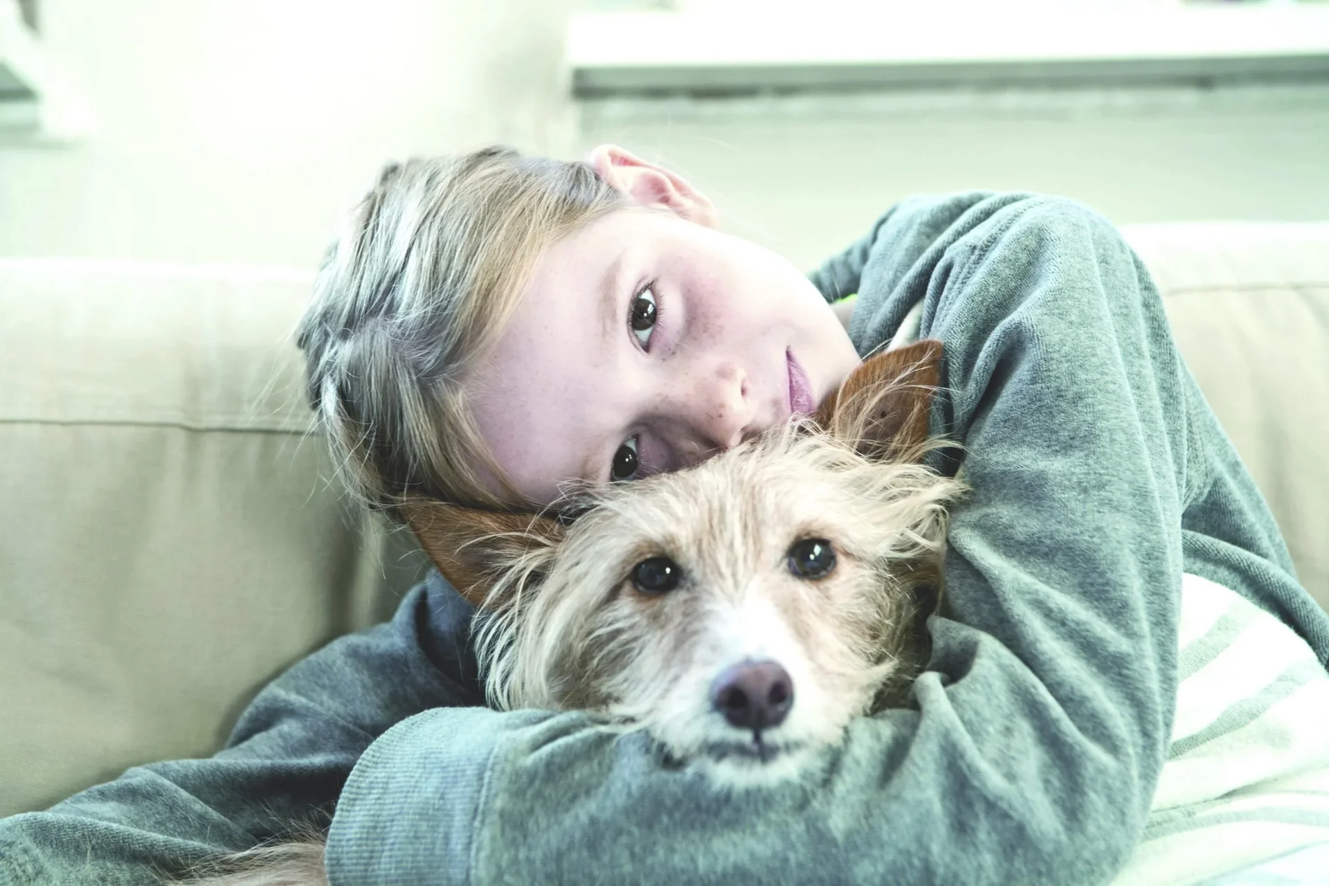 2 in 1 Staub- und Waschsauger „Aqua+ Pet & Family“, mit Wasserfilter, 1600 Watt - 2