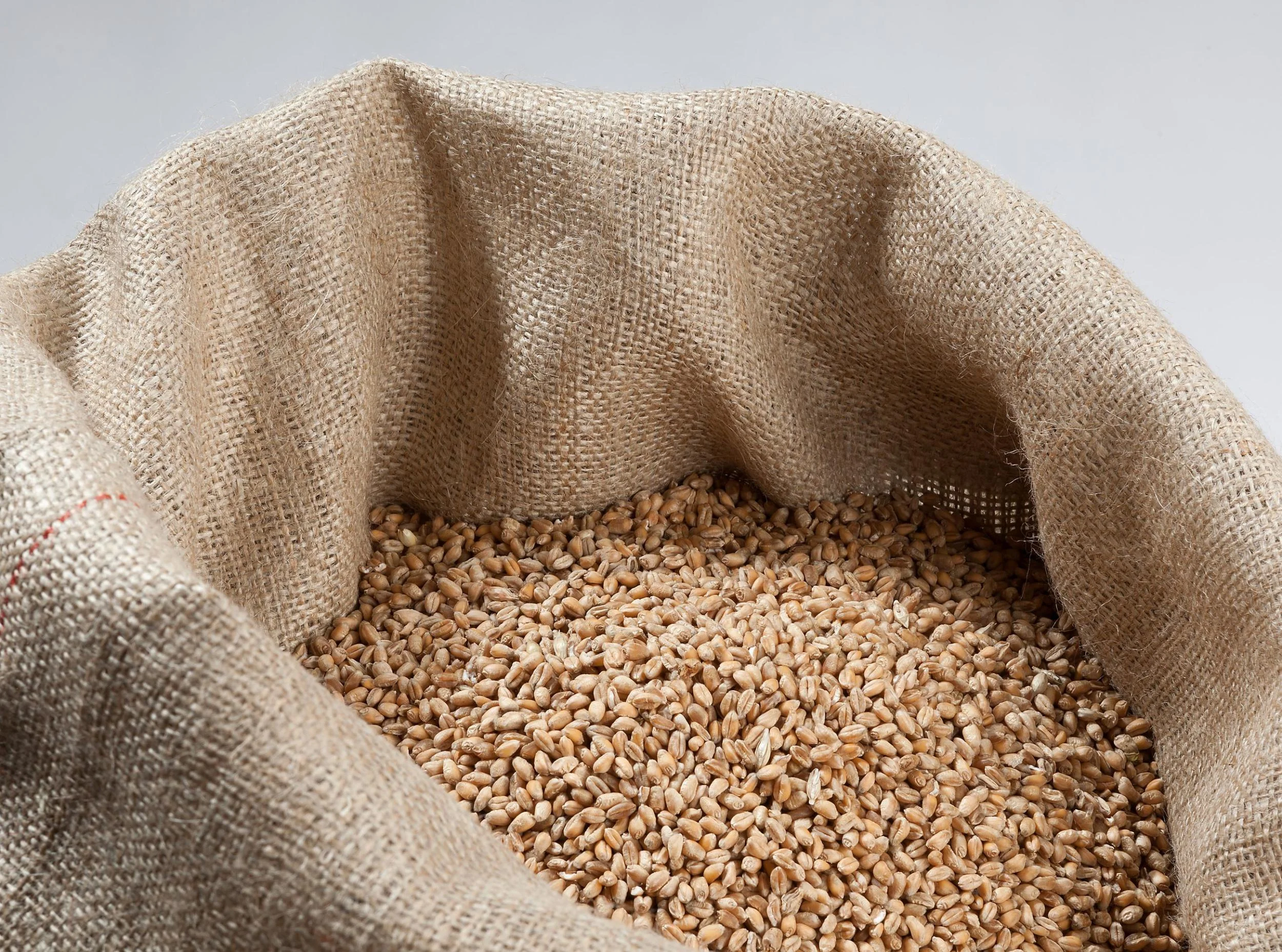 Jute Säcke, 50 kg, feine Maschen, 20 Stück - 0