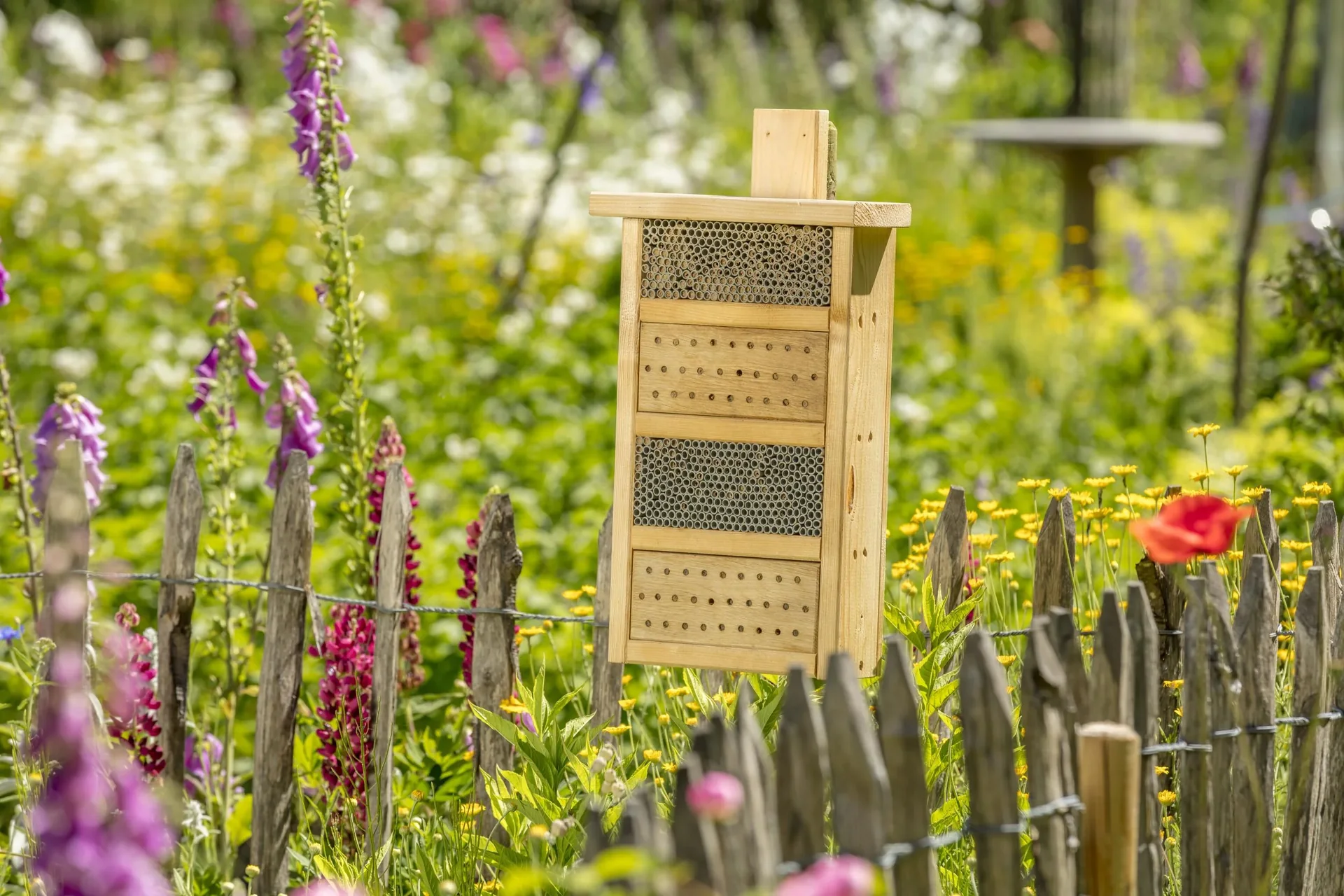 Wildgärtner Freude Bienenhaus - 4