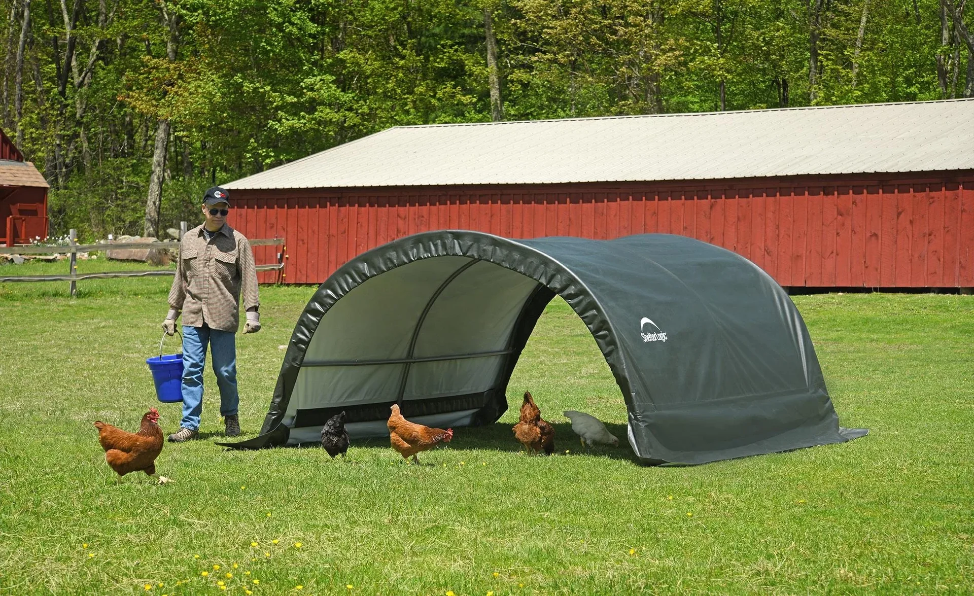 ShelterLogic Run-In-Weidezelt, 7,8 m² grün - 2