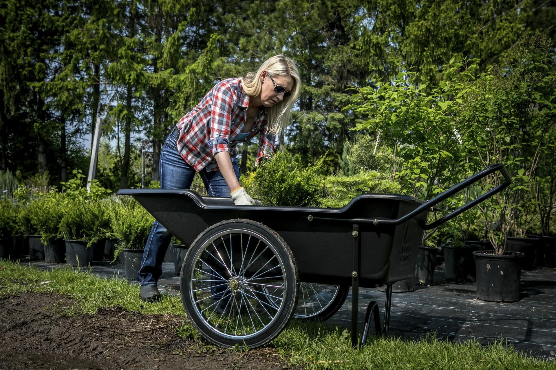 Premium Schubkarre schwarz - 4