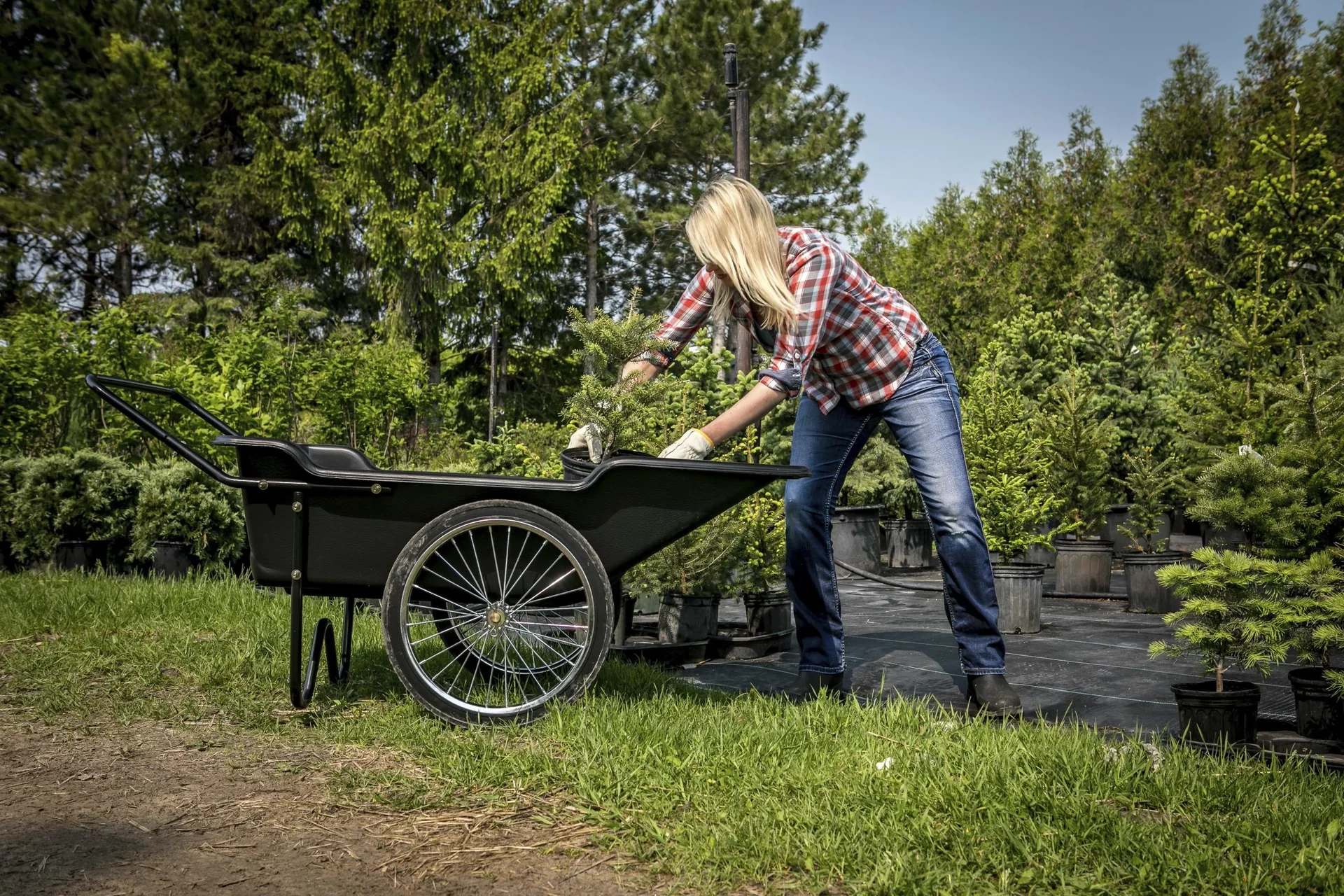 Premium Schubkarre schwarz - 7