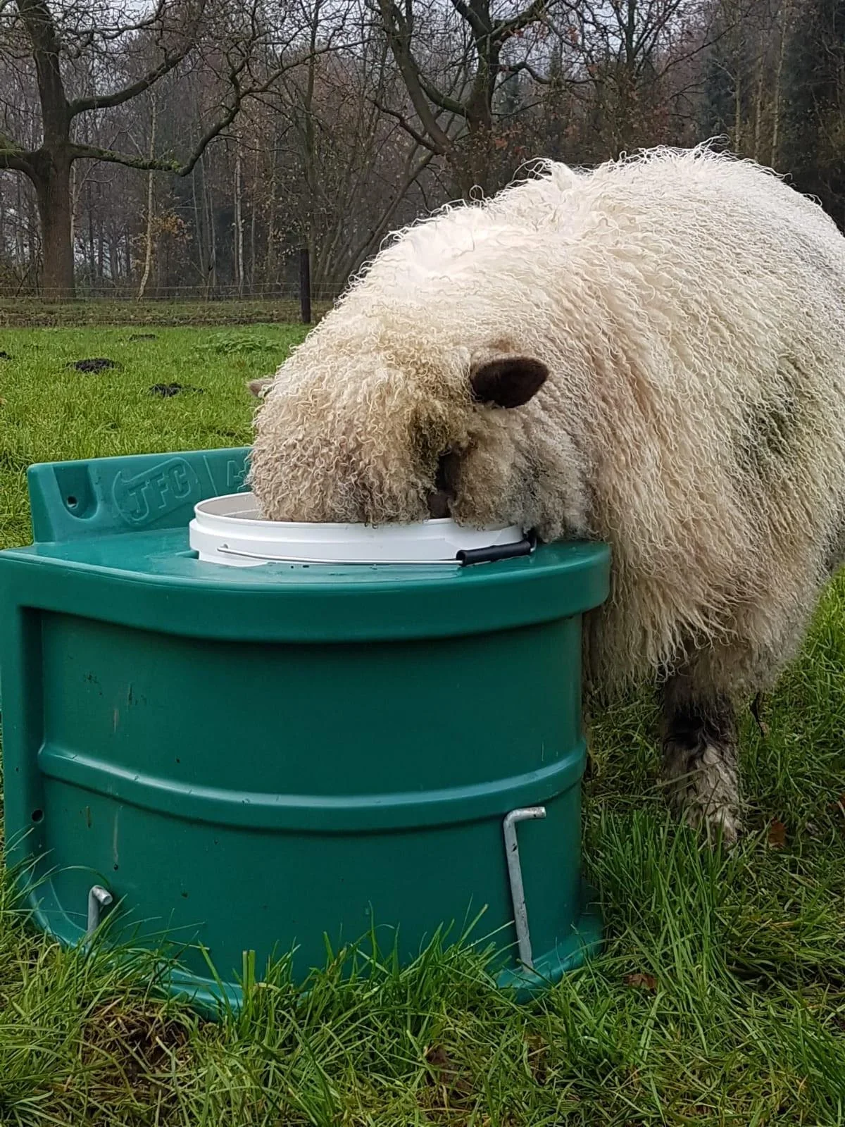 Tränke-Frostschutzeimer, 20 Liter - 0