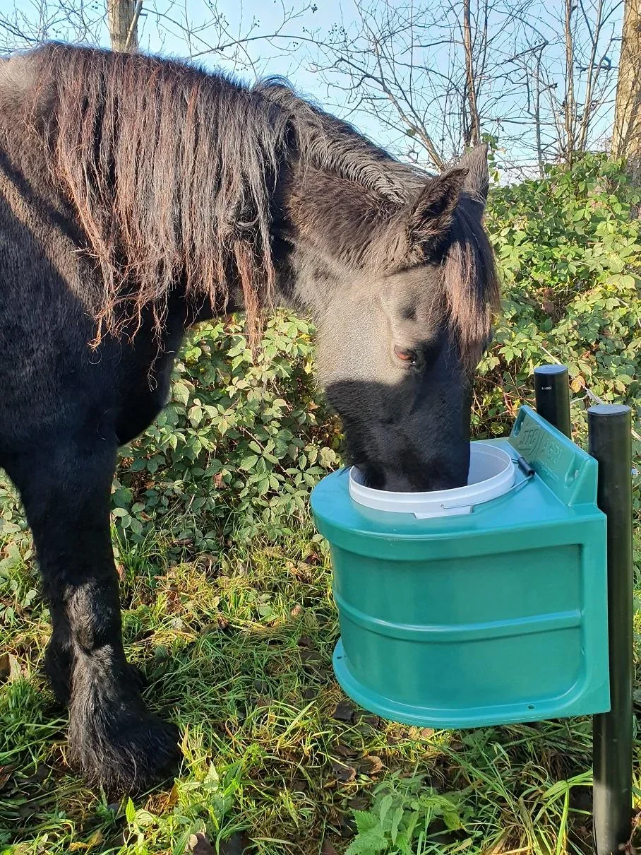 Tränke-Frostschutzeimer, 20 Liter - 2