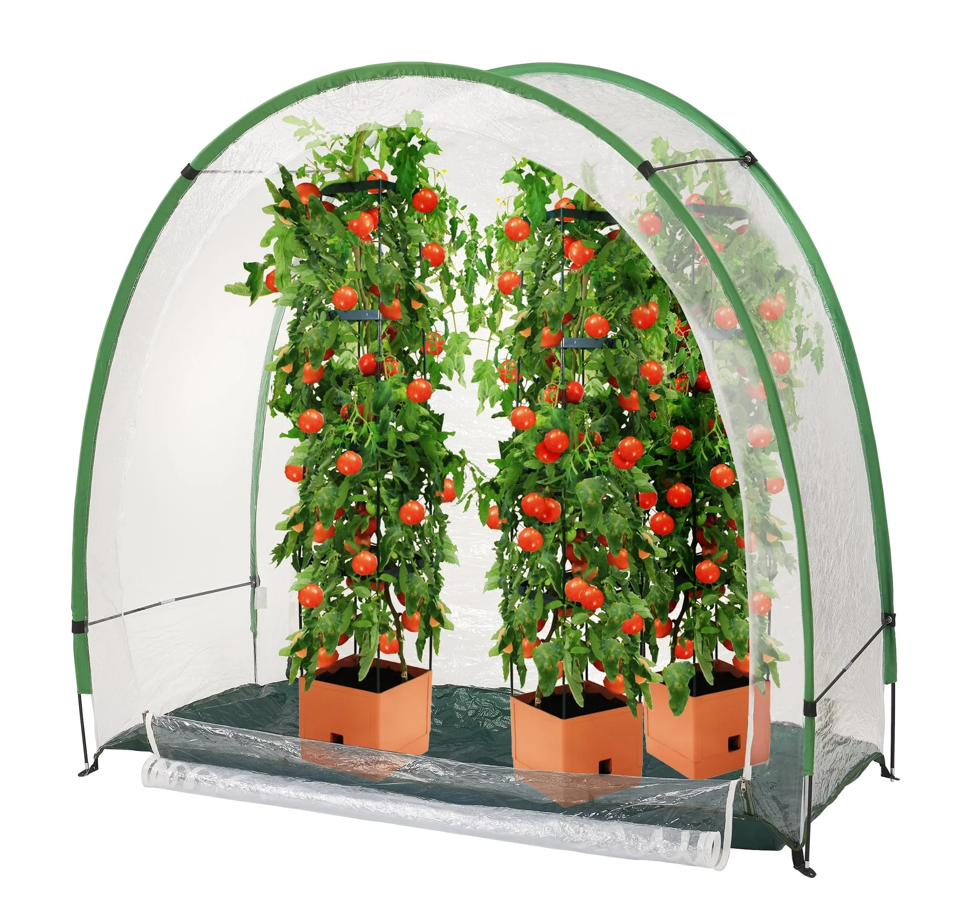 2 in1 Anzucht- und Überwinterungszelt Arctic 100 - 1
