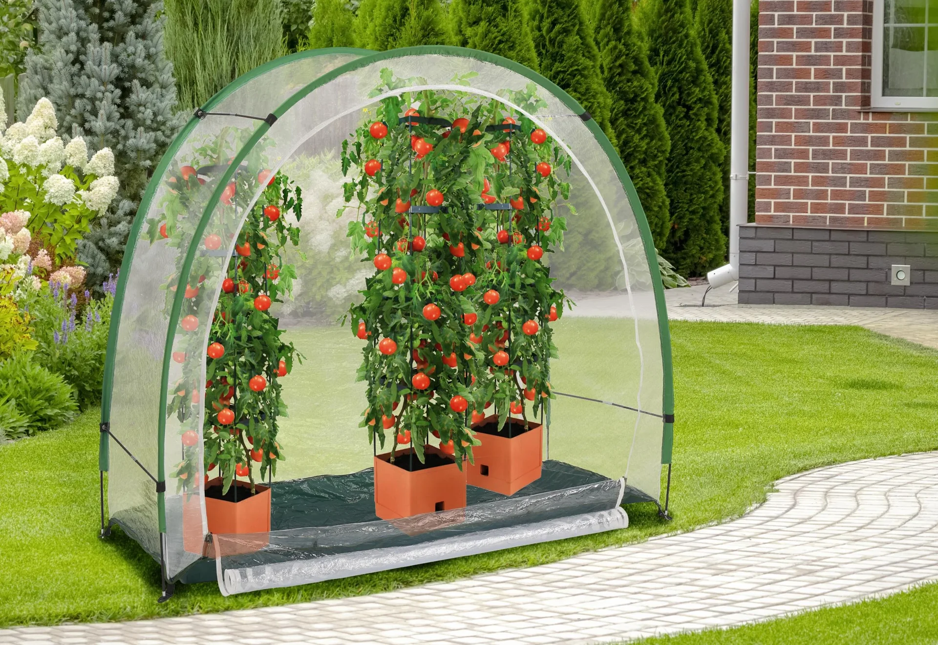 2 in1 Anzucht- und Überwinterungszelt Arctic 100 - 3