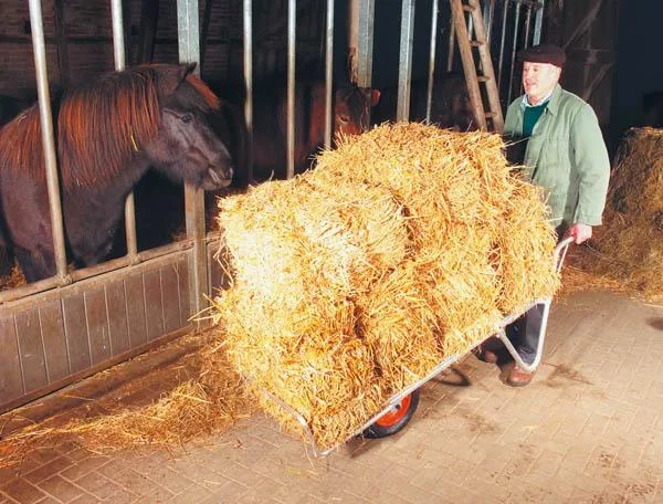 Alu Schweizer Karre, 100 kg Tragkraft - 0