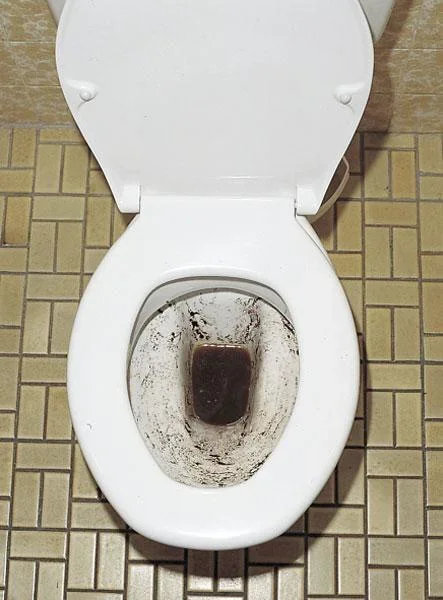 WC Reinigungstabletten"Swiss Tabs", gründliche Reinheit, 20 Stück - 2