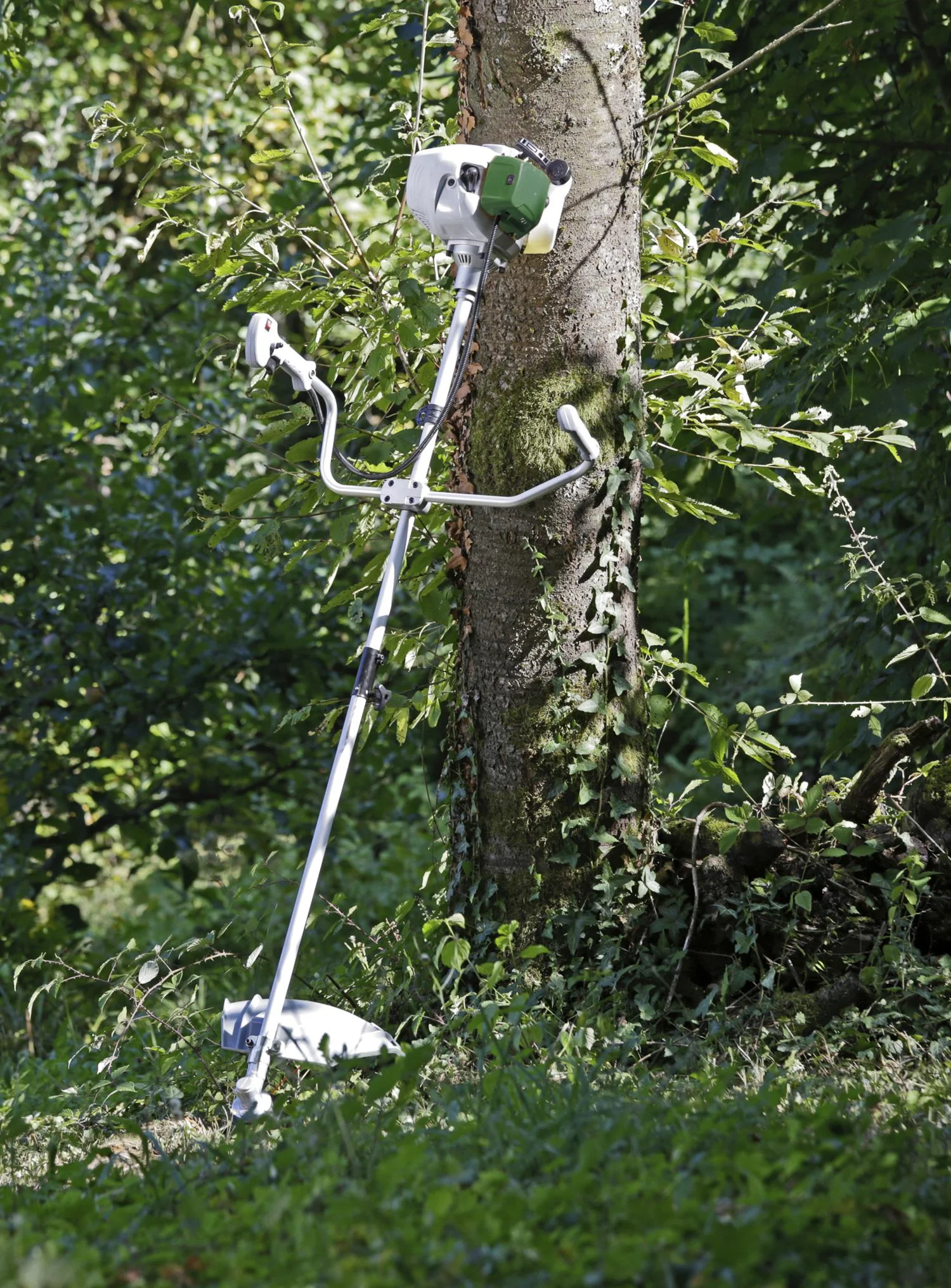 Benzin-Freischneider 4-Takt Motor GM 4T-700 Gartenmeister Gratis dazu Gesichtsschutz mit Netz - 1