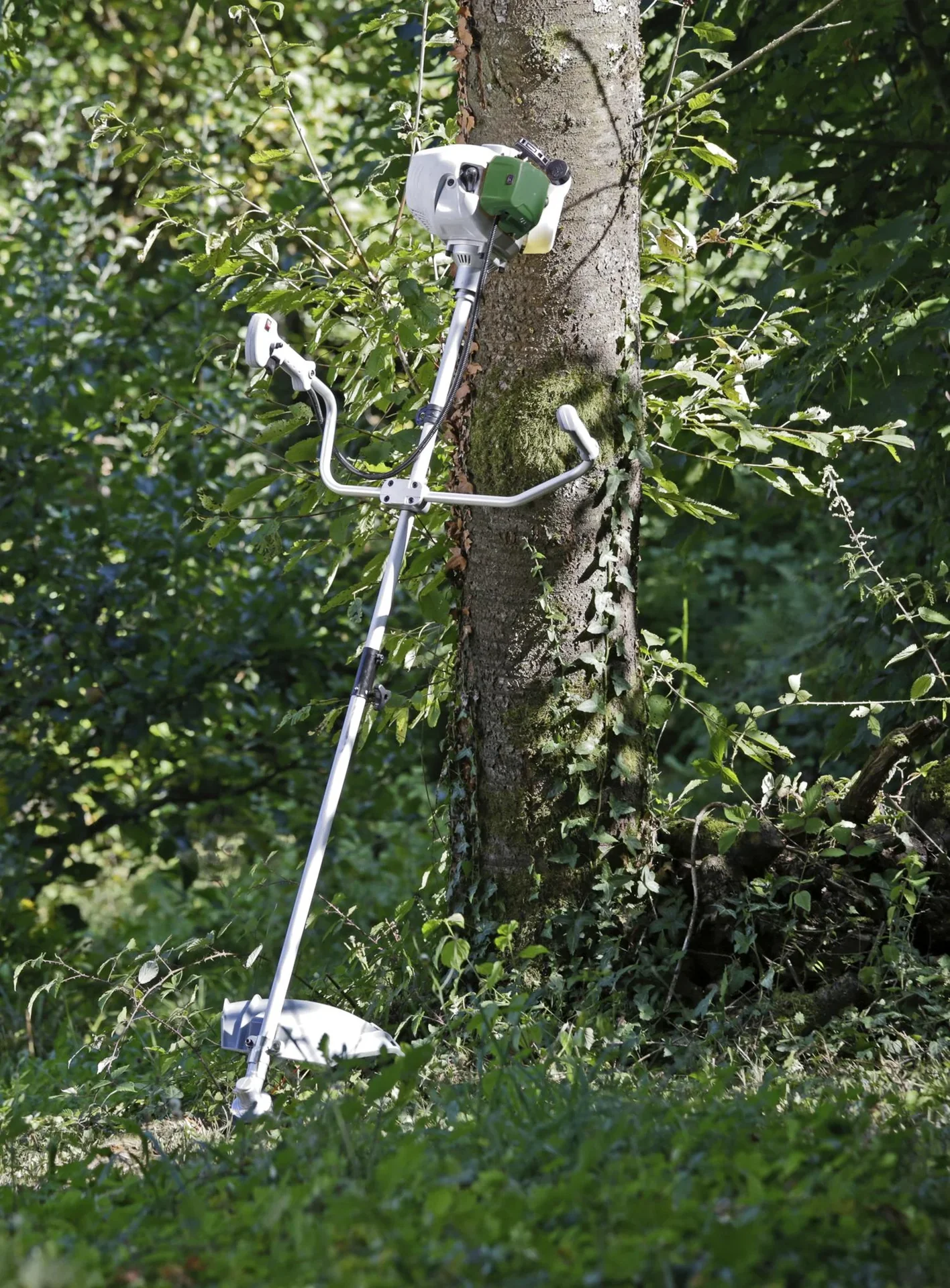 Benzin-Freischneider 4-Takt Motor GM 4T-700 Gartenmeister Gratis dazu Gesichtsschutz mit Netz - 1