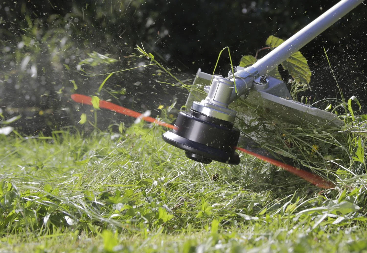 Benzin-Freischneider 4-Takt Motor GM 4T-700 Gartenmeister Gratis dazu Gesichtsschutz mit Netz - 7