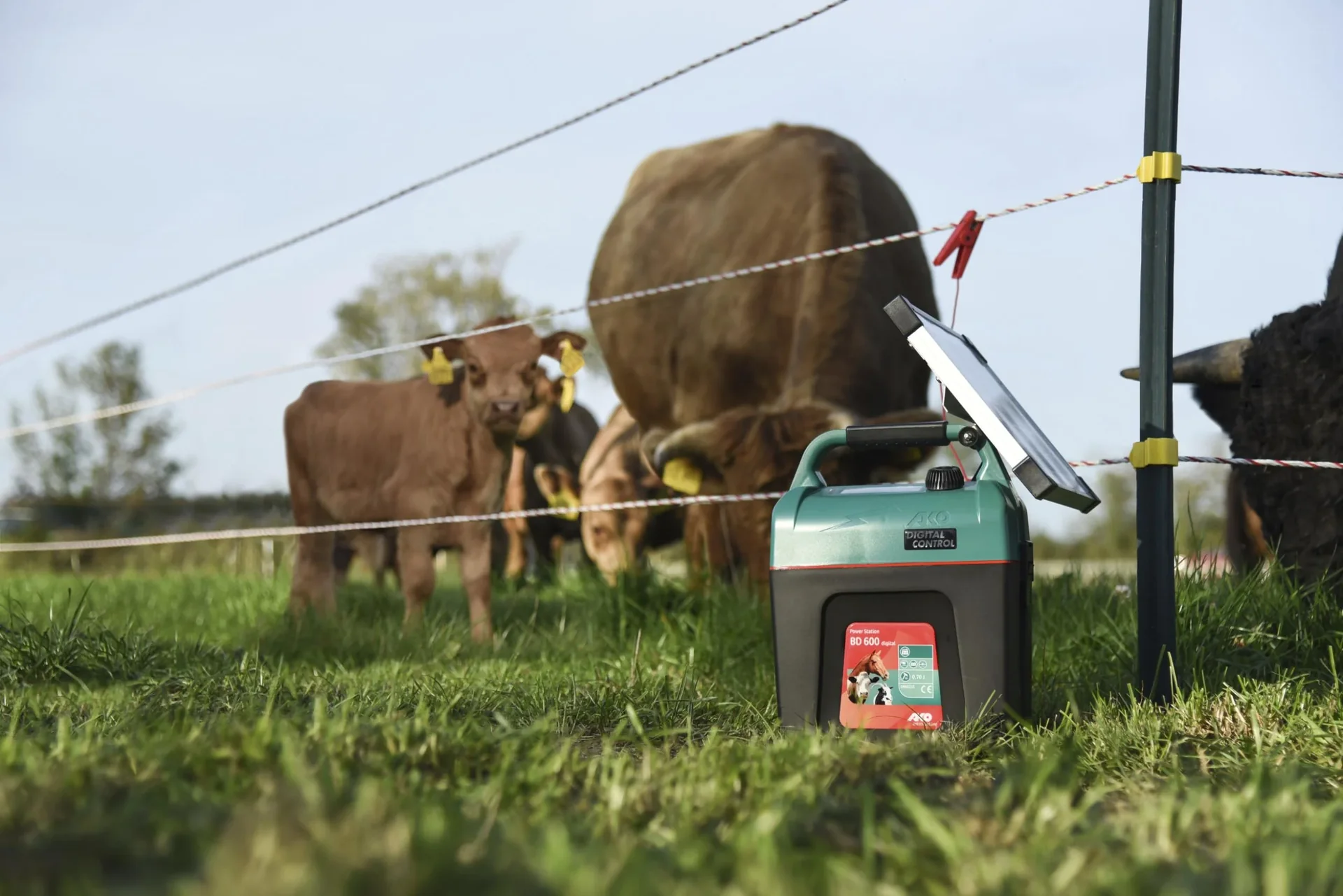 AKO Power Station BD 600 digital 9V Batteriegerät - 6