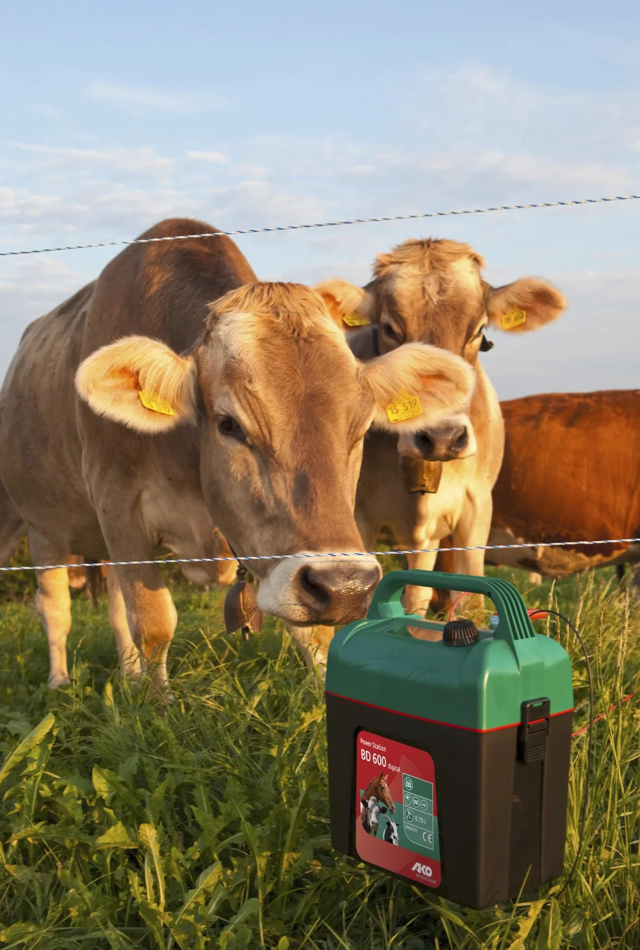 AKO Power Station BD 600 digital 9V Batteriegerät - 7