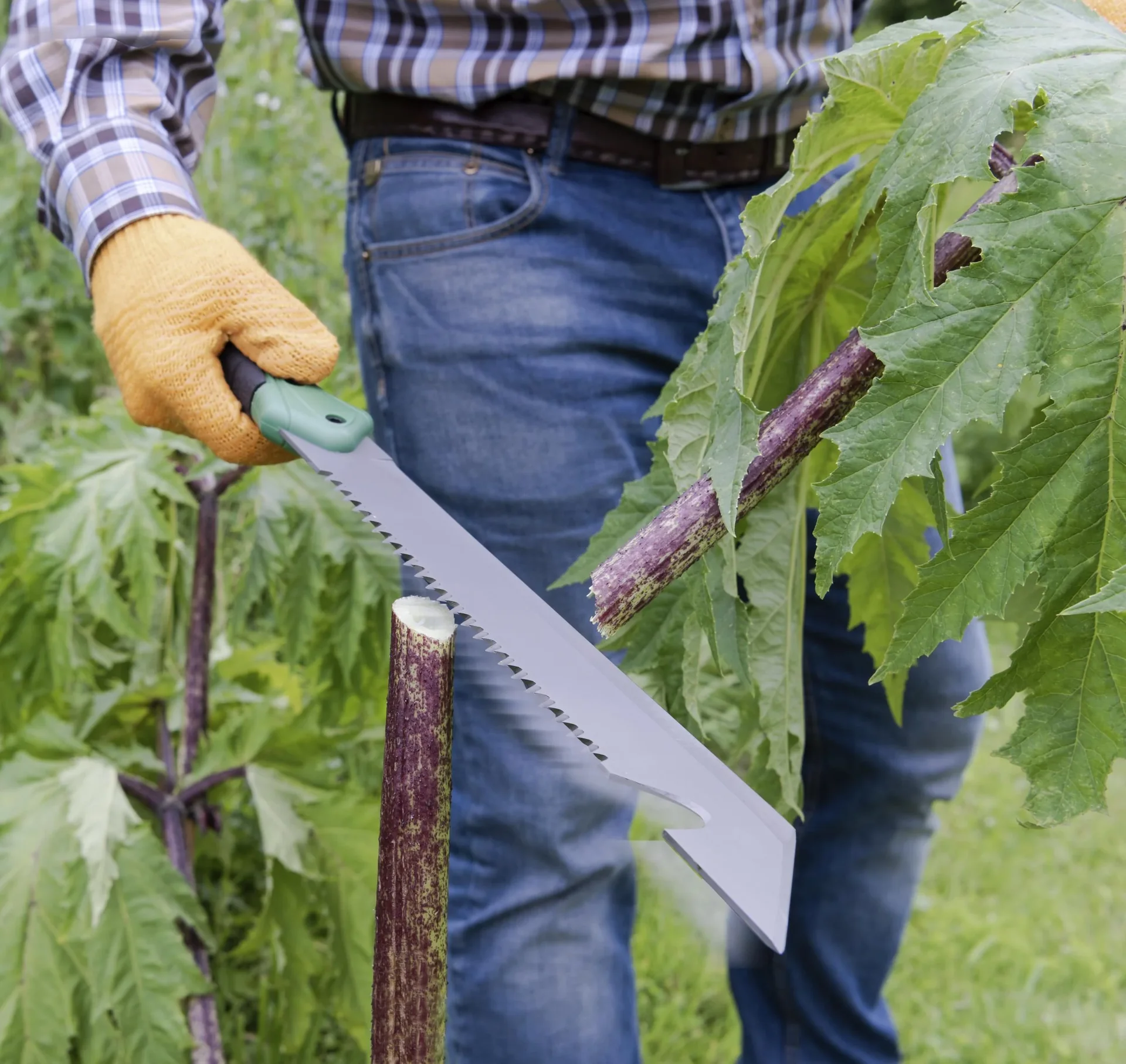 XXL-Machete 4-in-1 mit Titanium Beschichtung + Gürtelhalfter - 5