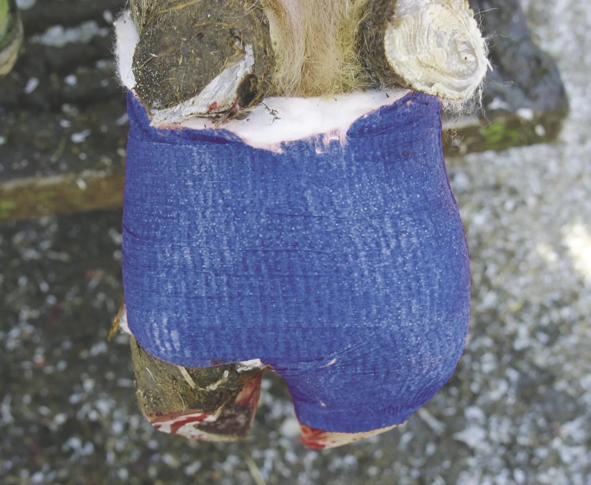 "VetLastic" Bandage, hellgrün, 7,5 cm, selbsthaftend - 1