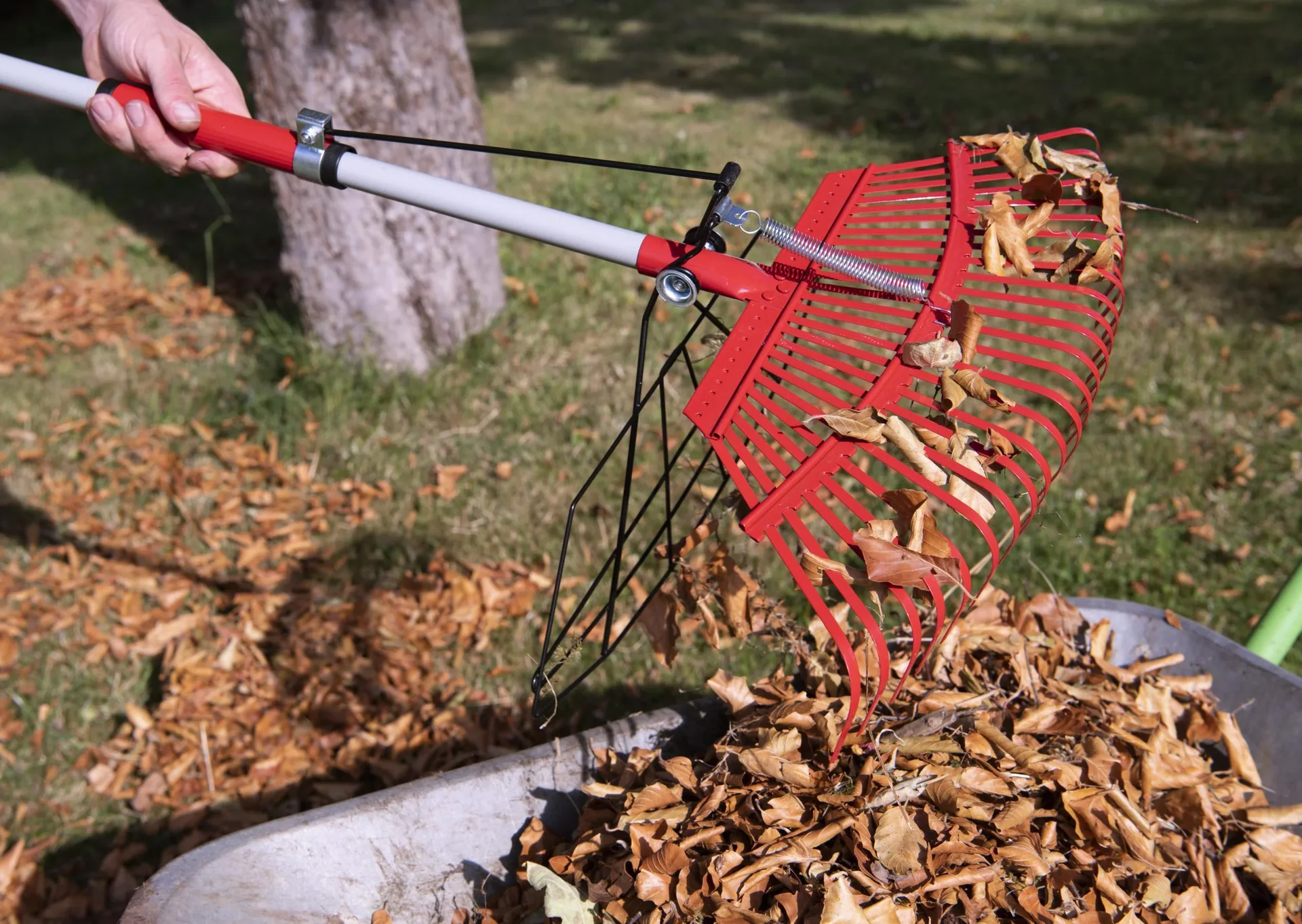 Universal-Rechen mit Greifer, 25 Zinken, teleskopierbar - 0