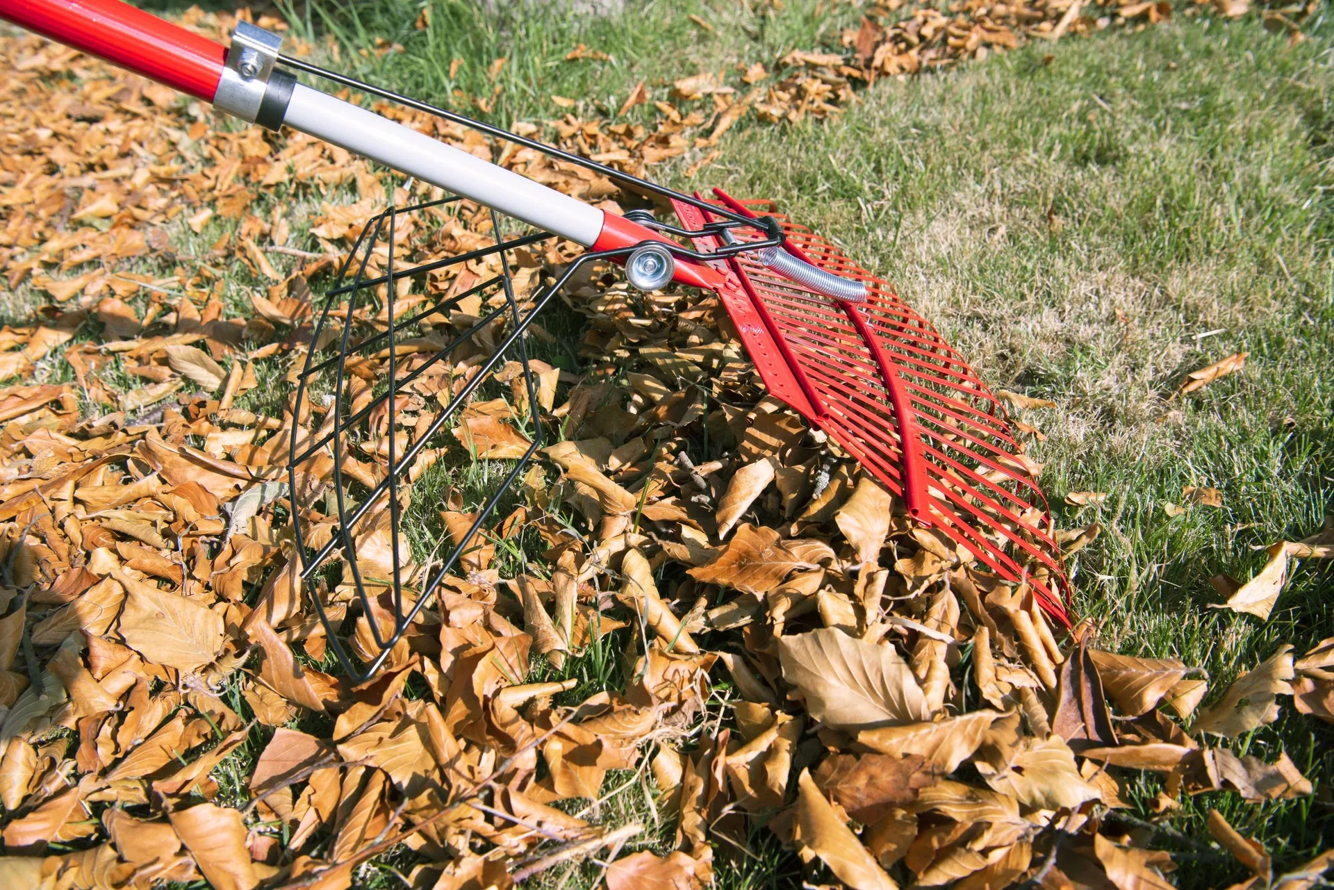 Universal-Rechen mit Greifer, 25 Zinken, teleskopierbar - 3