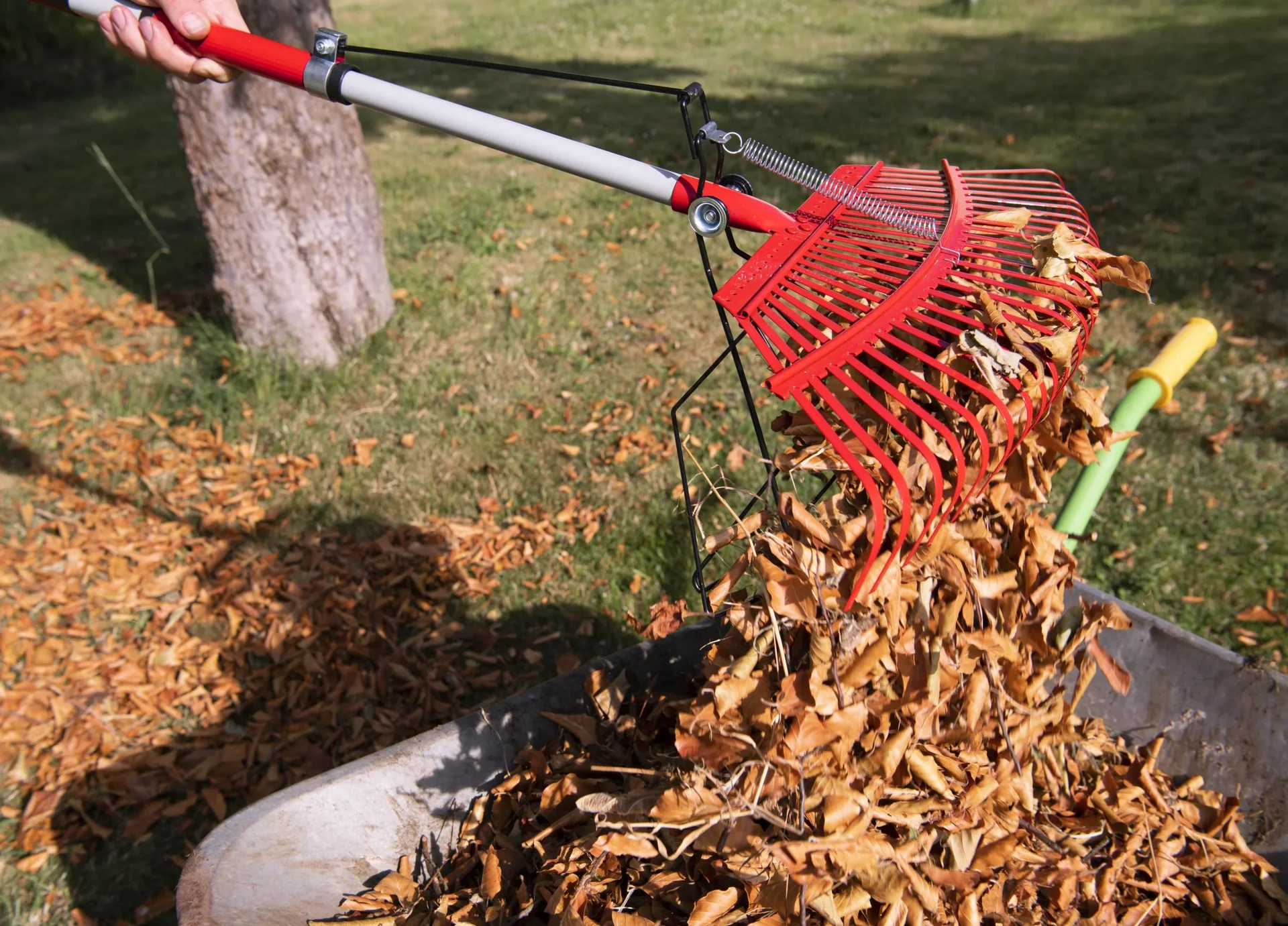 Universal-Rechen mit Greifer, 25 Zinken, teleskopierbar - 6