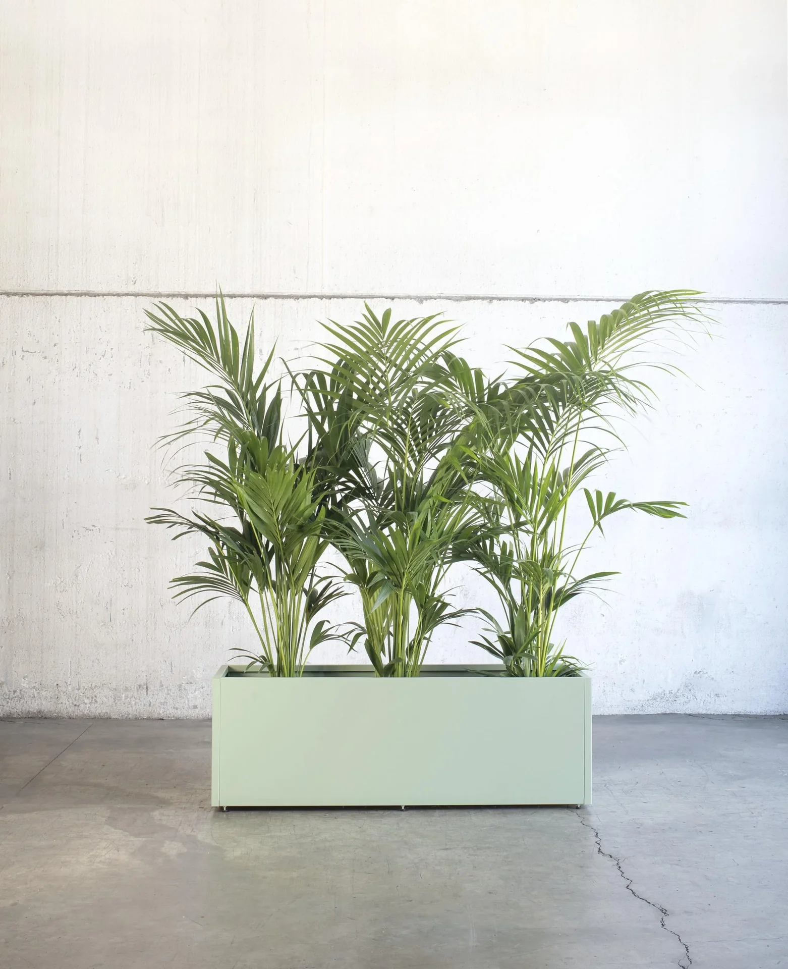 Pflanzkasten 150 x 50 x 50 kaktusgrün - 11