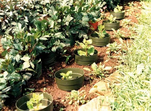 Bewässerungsring "Aquaring", 20 cm, grün - 15er Set - 2