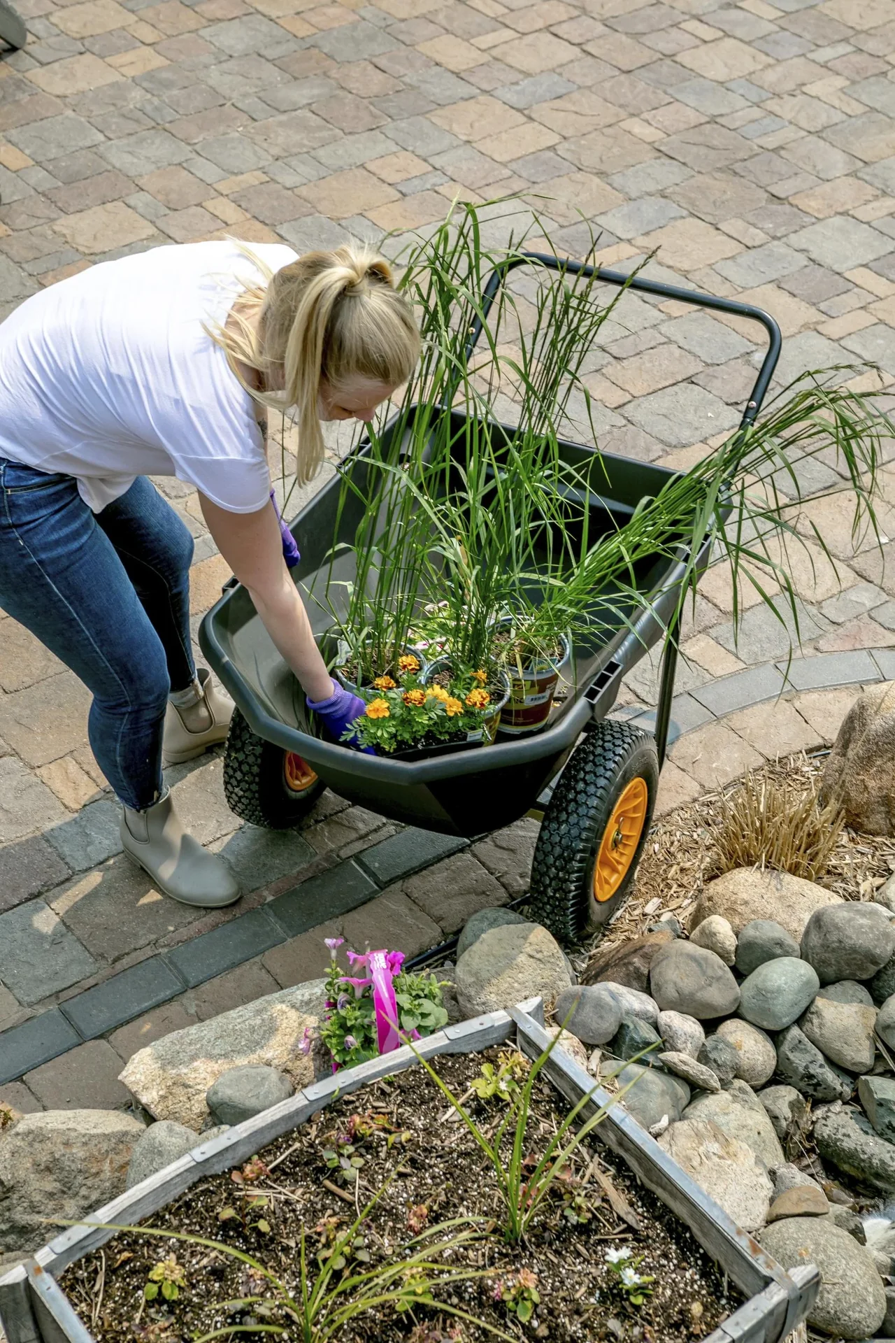 Schubkarre Cub Cart schwarz - 4