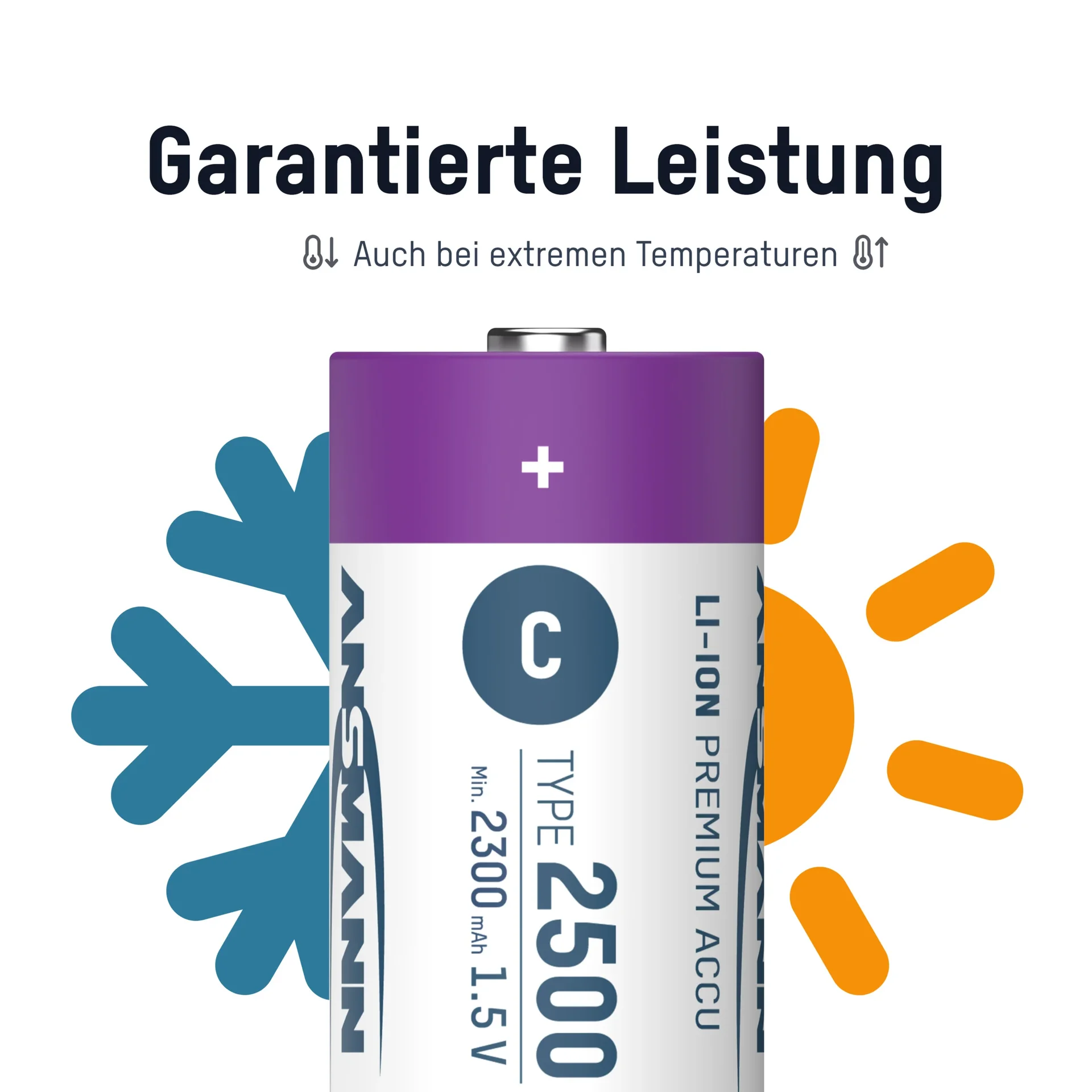 Lithium Ionen Baby (C) Akkus USB-C - 2 Stück, Sicherheitsabschaltung - 4
