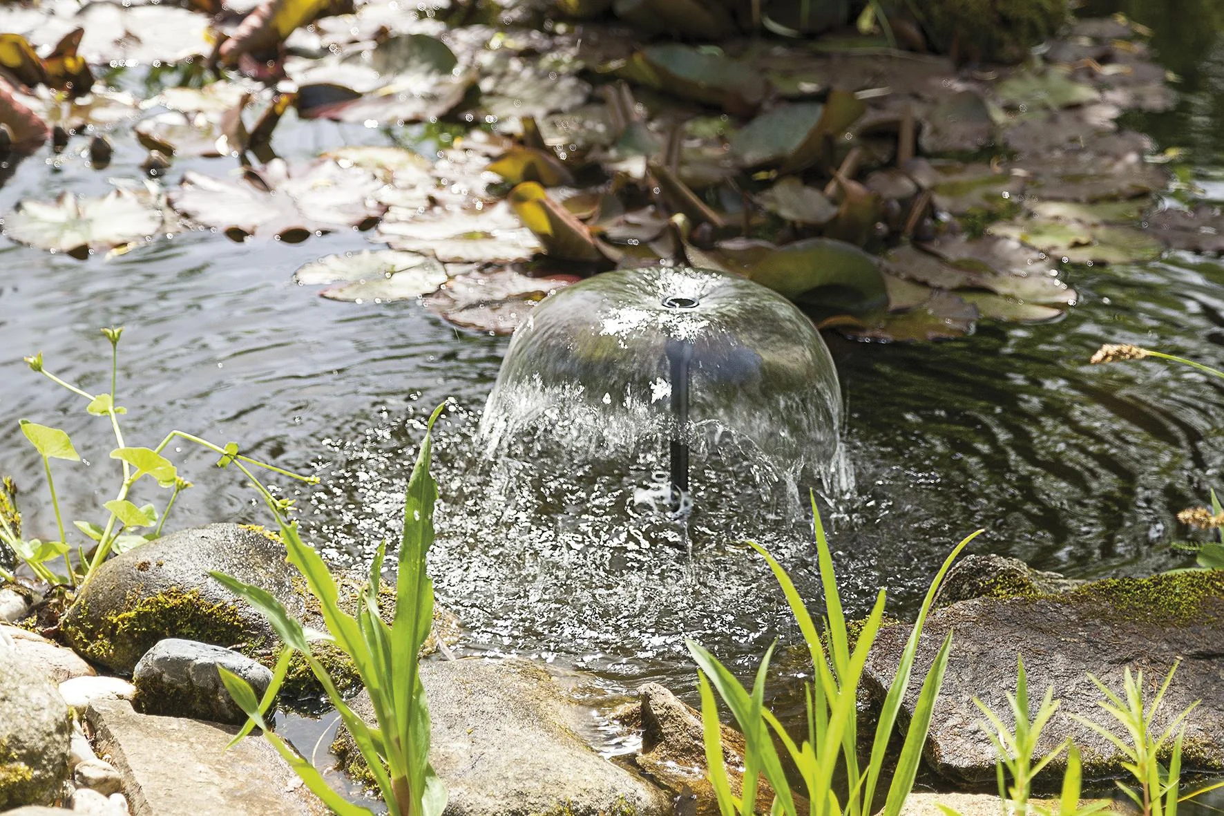 Solarpumpensystem "Splash" mit 20 W Solarmodul, 1350 l/h, max. 190 cm - 3