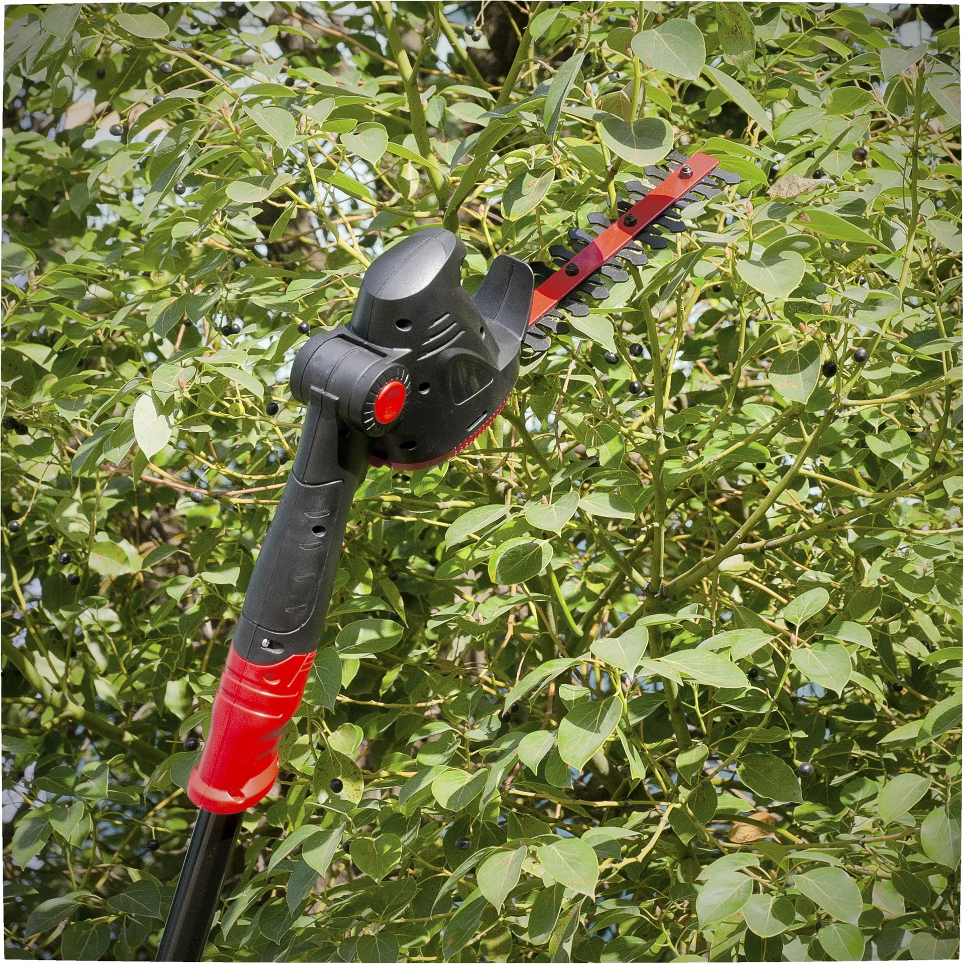 Grass-/ Strauch- und Astsäge 10,8 V 3in1 - 2