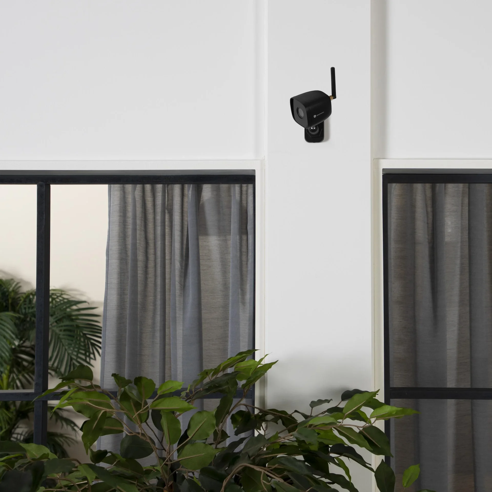 Außenbereich IP-Kamera Homewizard - 2