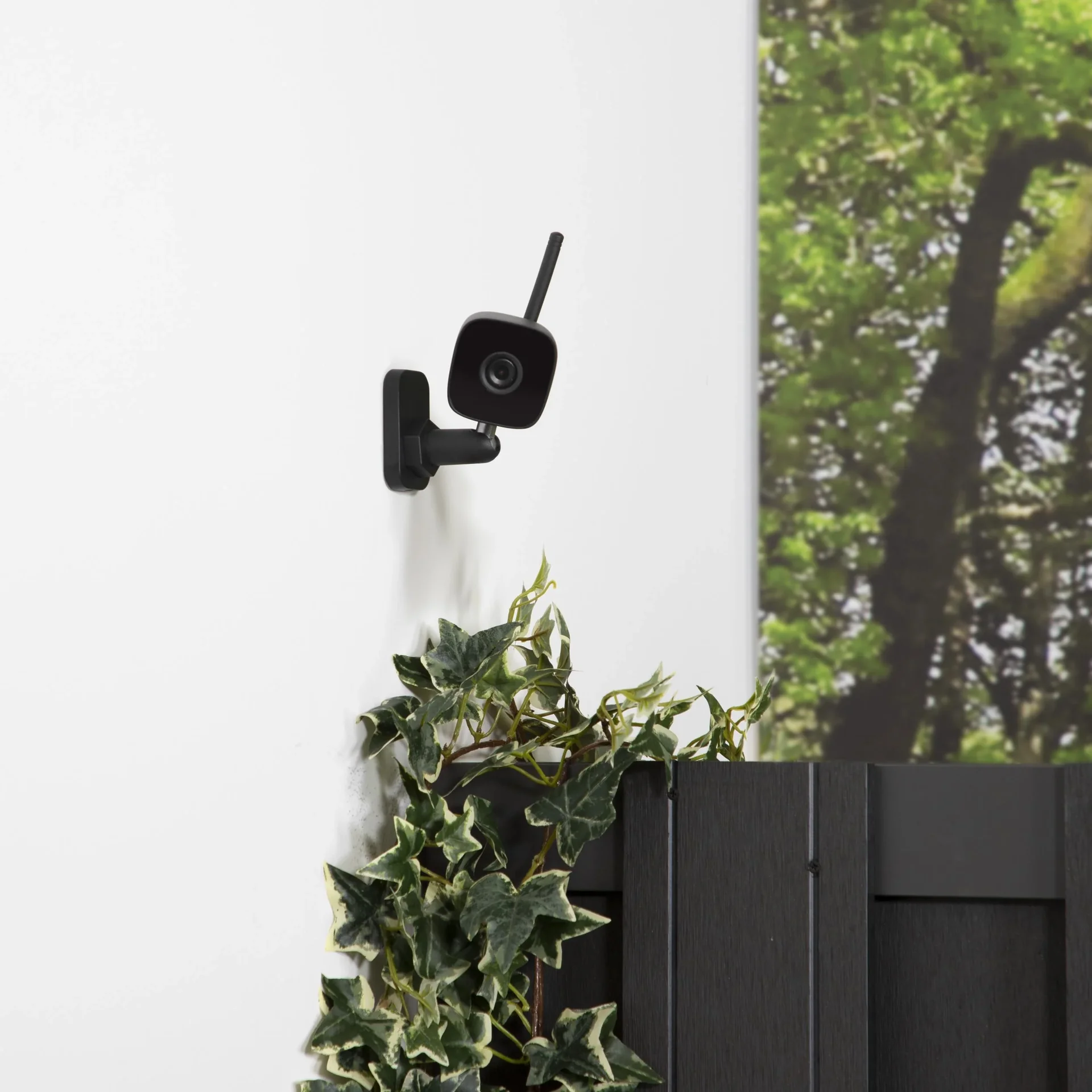 Außenbereich IP-Kamera Homewizard - 5