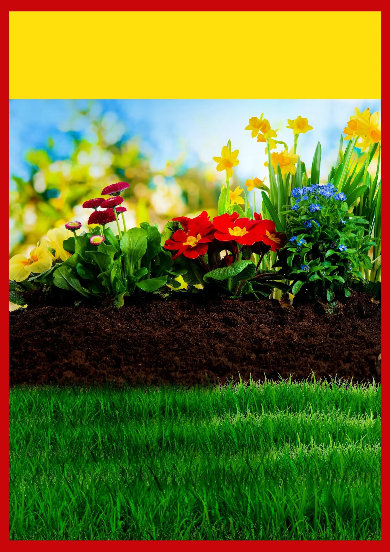 Perlschlauch, mit Aqua-Stop, 15 m - 2